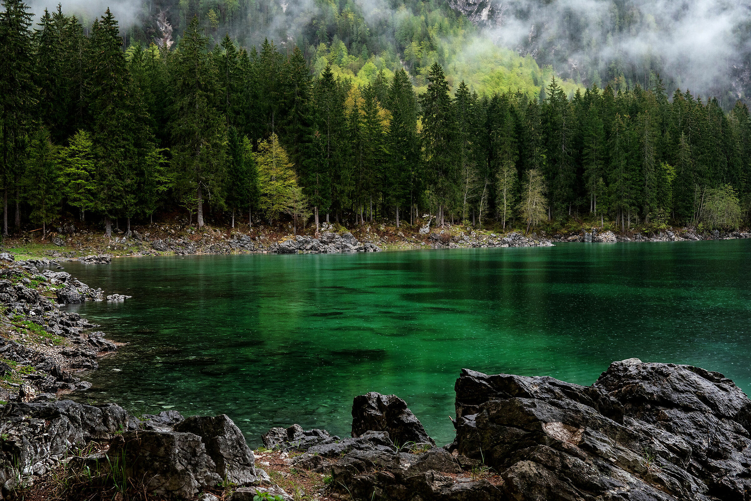 Fusine laghi - scorcio di primavera - Alpi Giulie