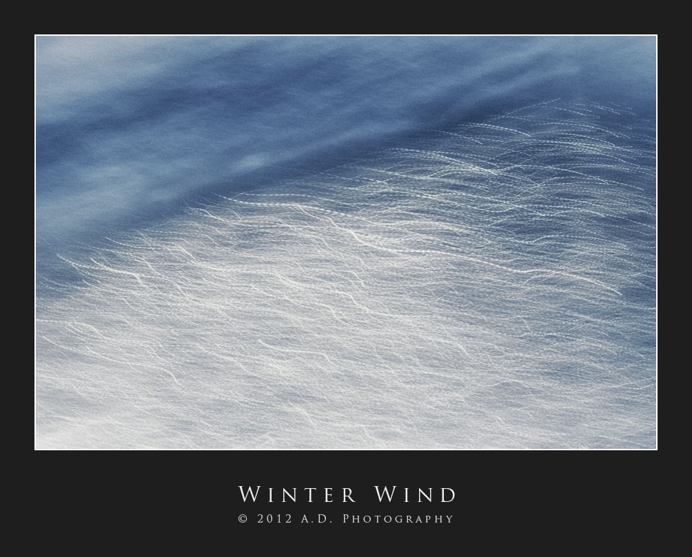 Winter Wind
