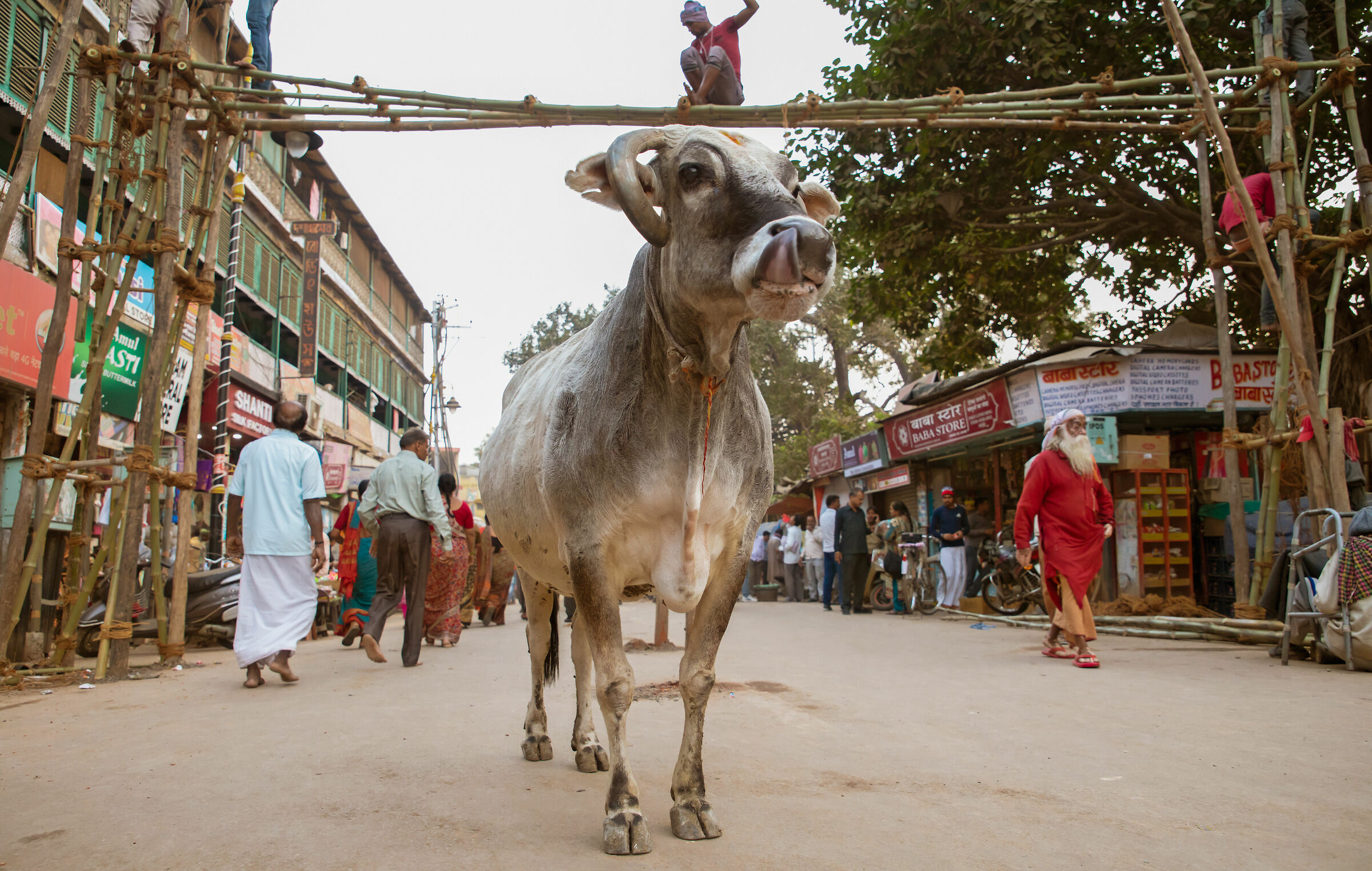 Varanasi, 2018.