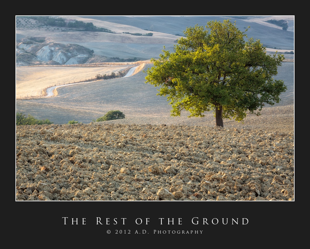 The Rest of the Ground