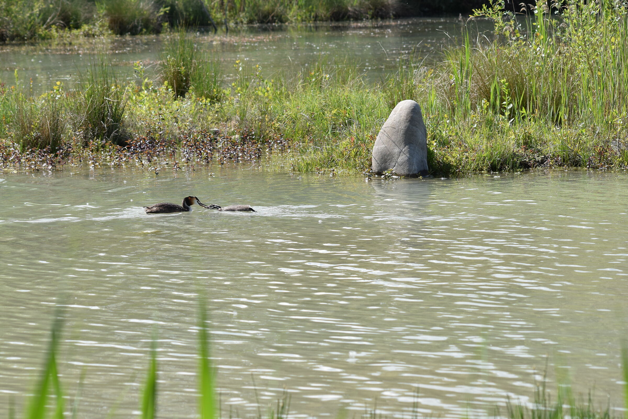 Coming up a Tidlittle 2