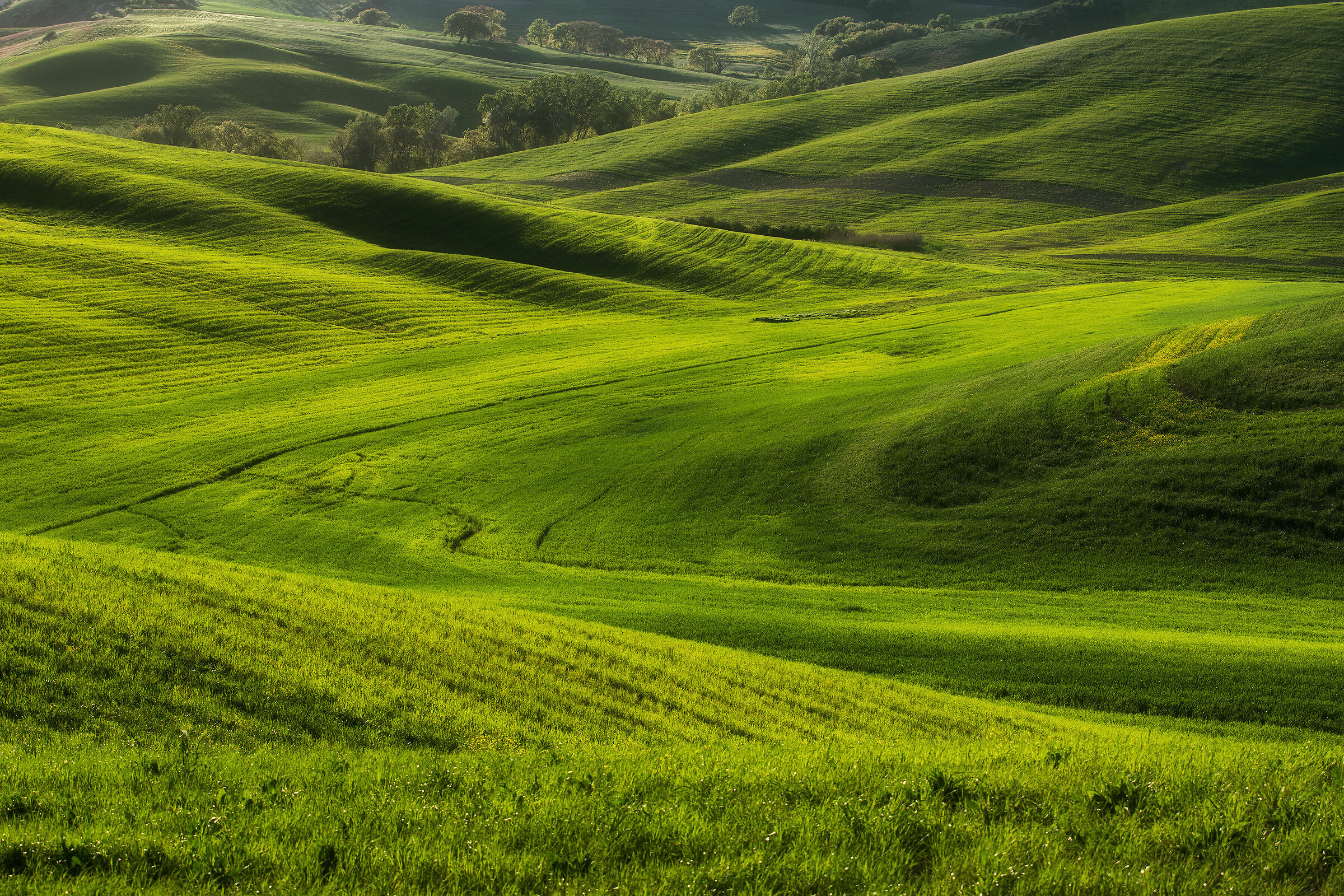Val d'Orcia