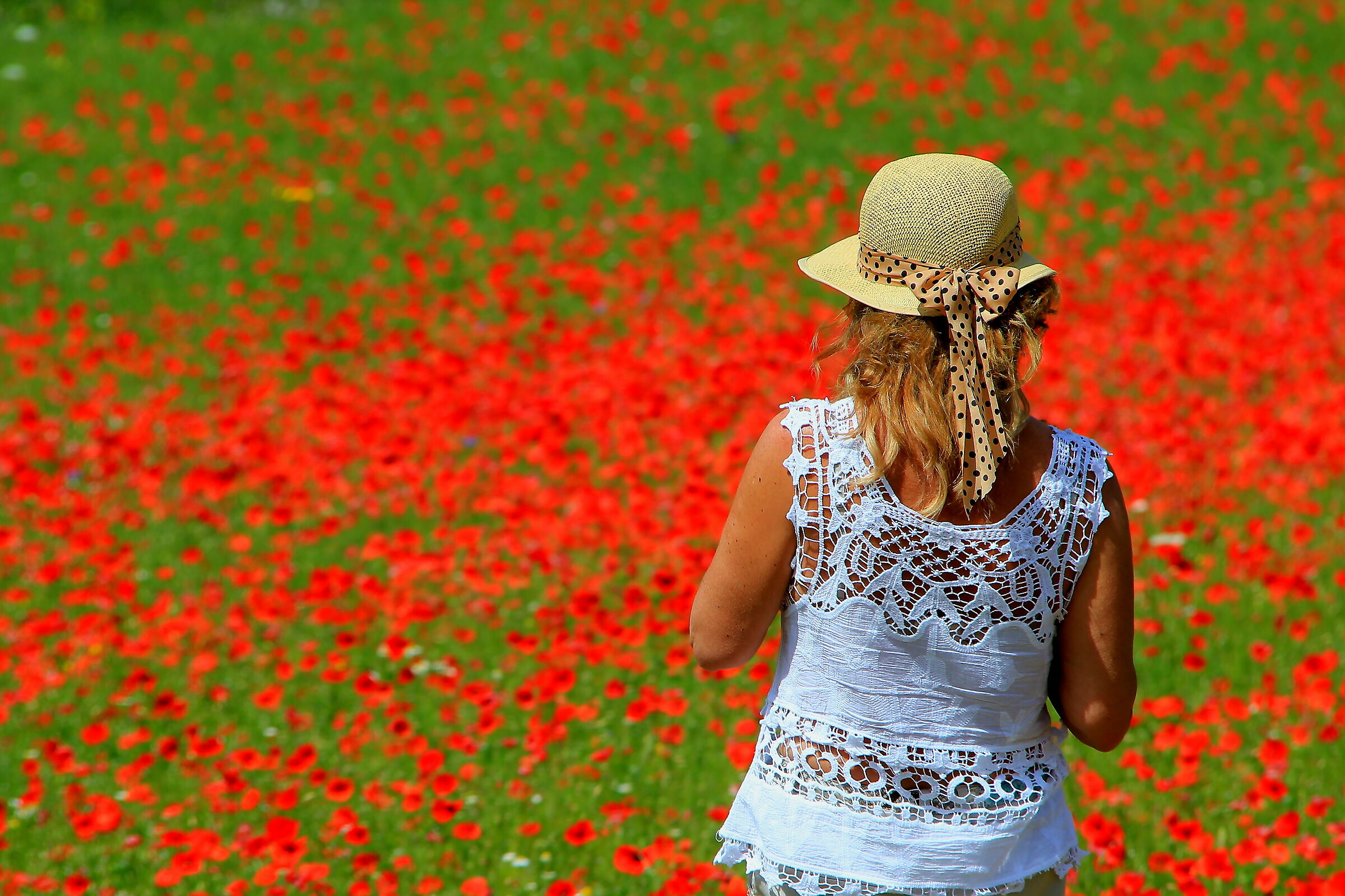 Bianco, rosso e verde