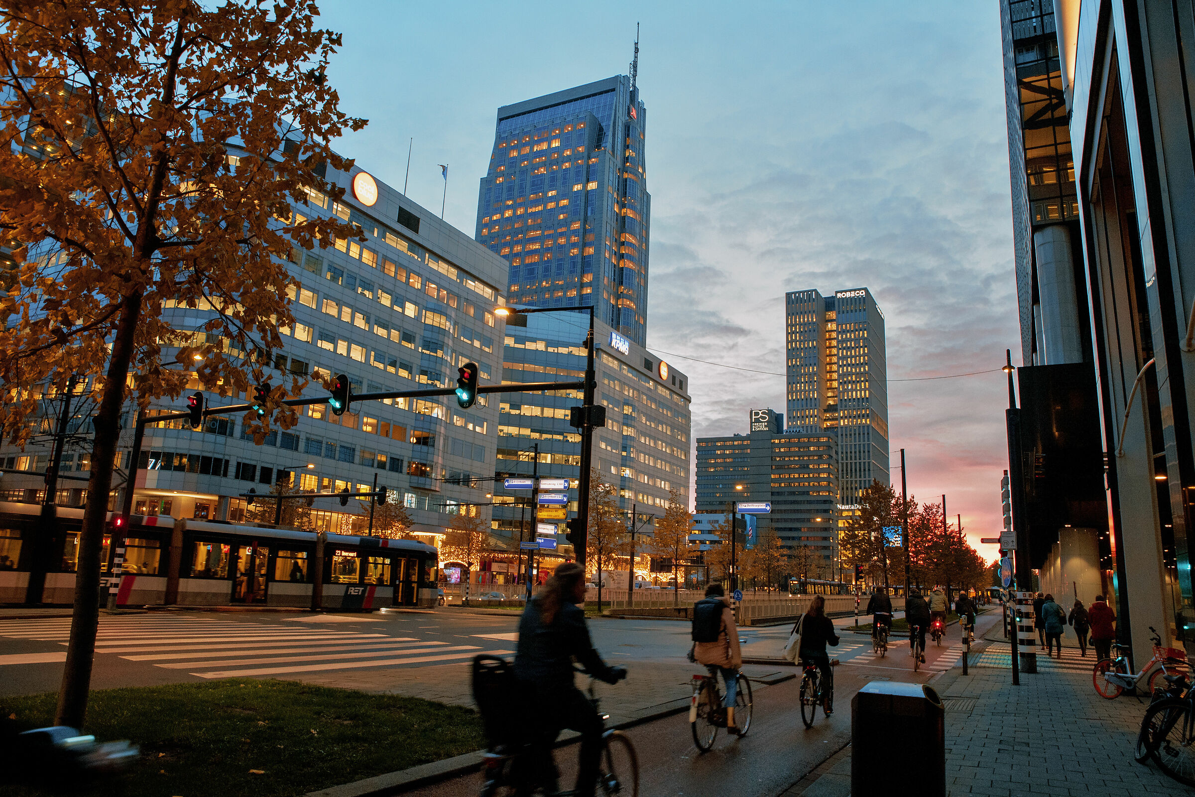 In joint a Rotterdam