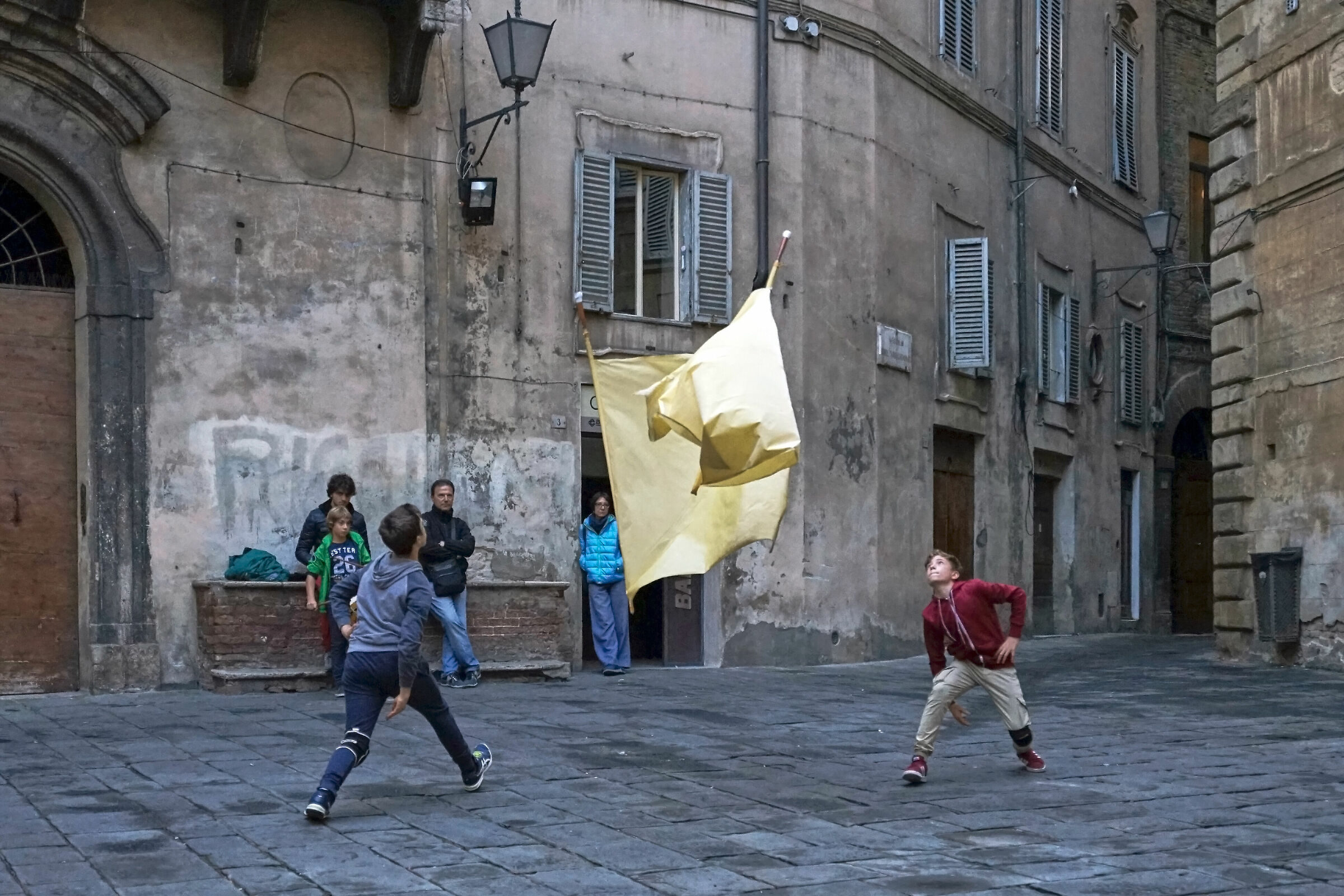 Little flag-throwers grow