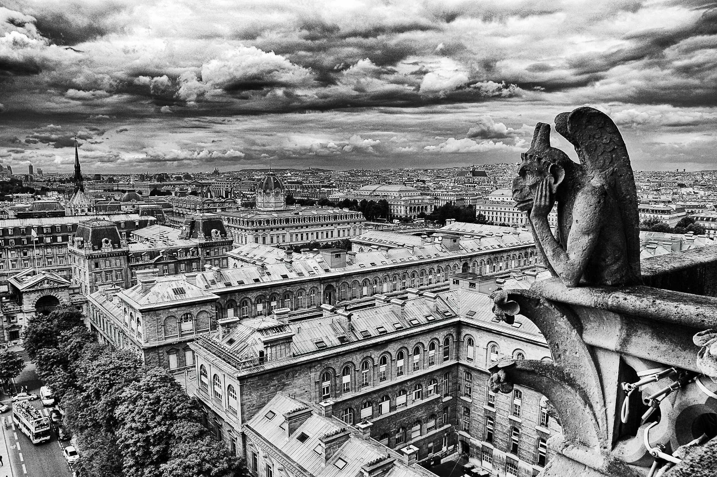 Before the disaster (Paris view from Notre Dame)
