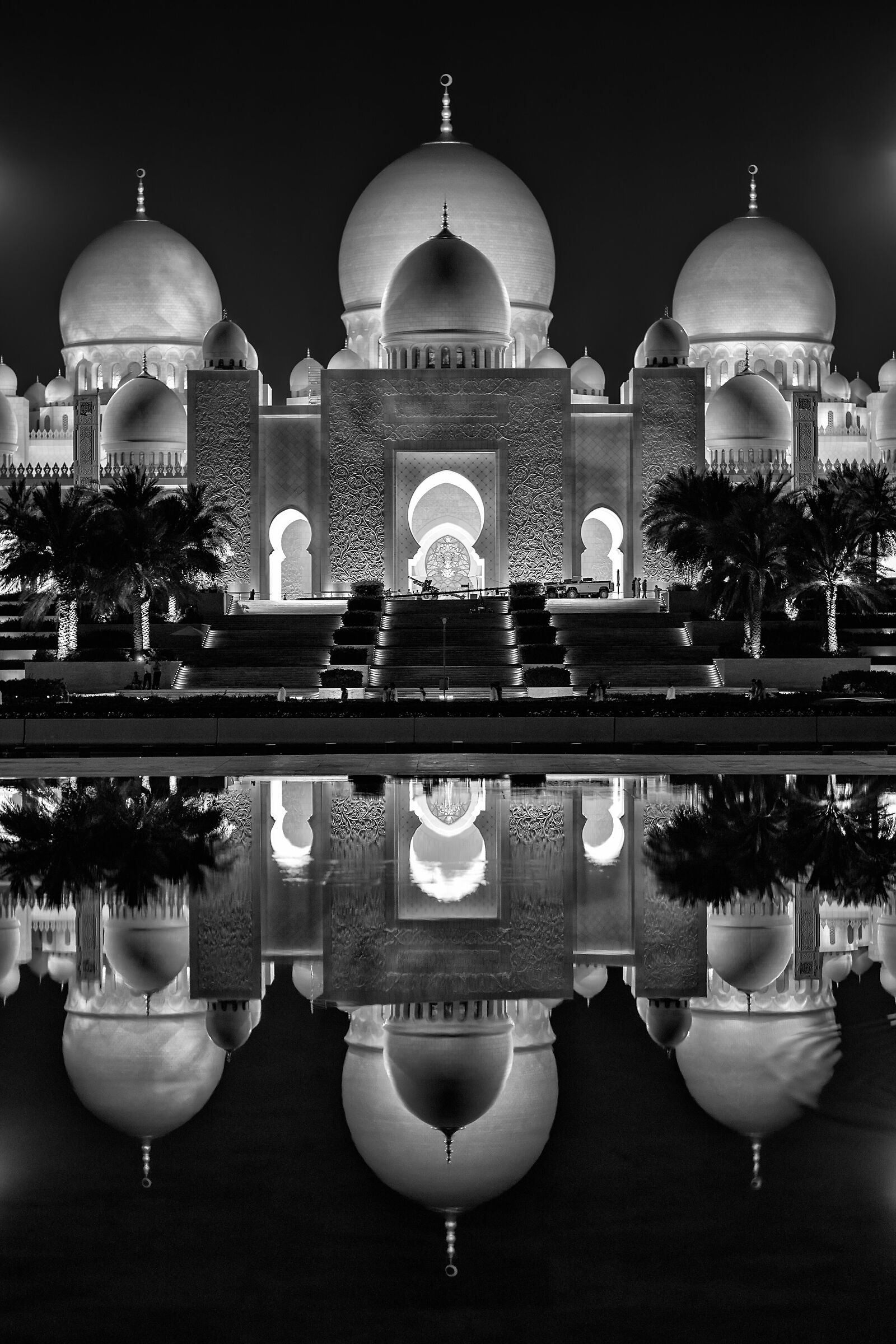 Zayed reflections