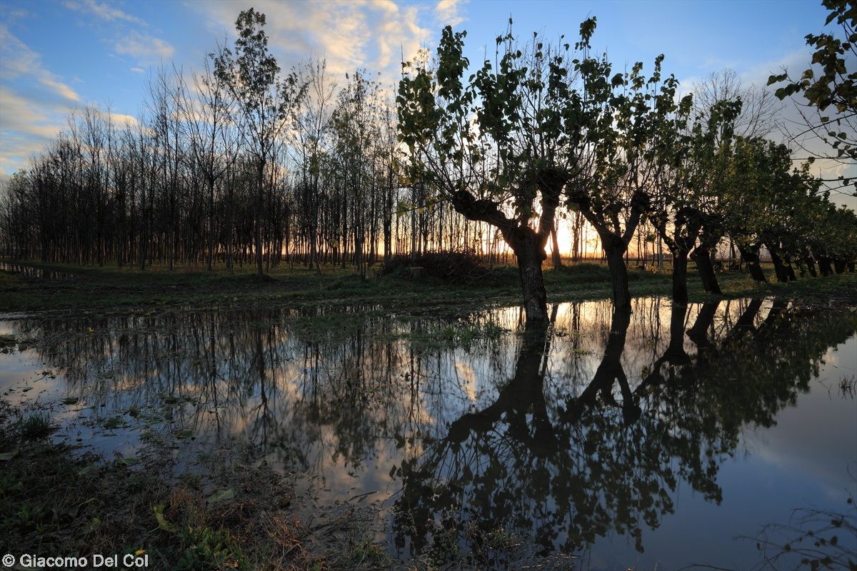 Paesaggio tipico friulano