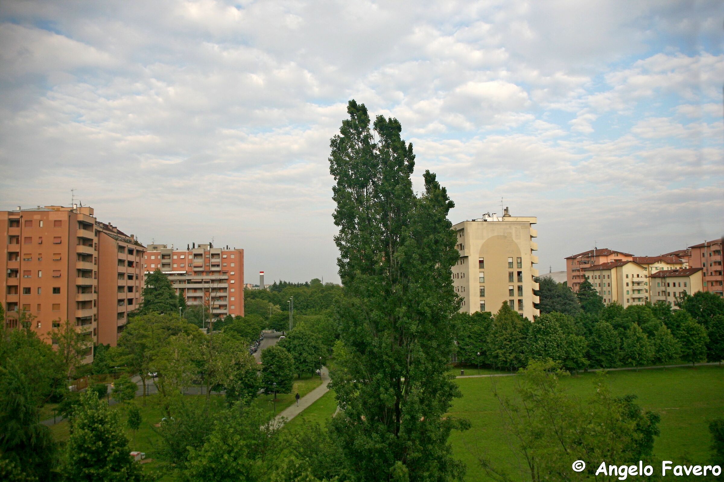 Spring from the Balcony