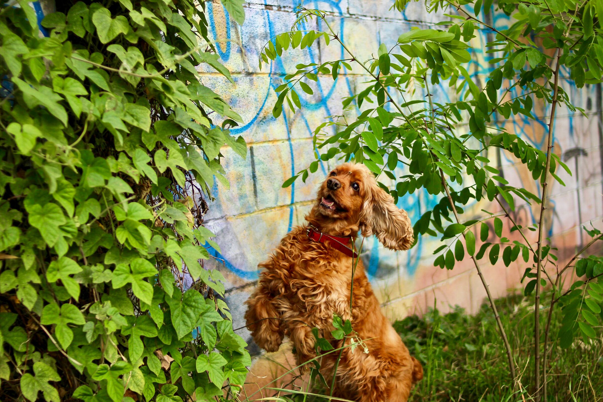 Alla ricerca della preda