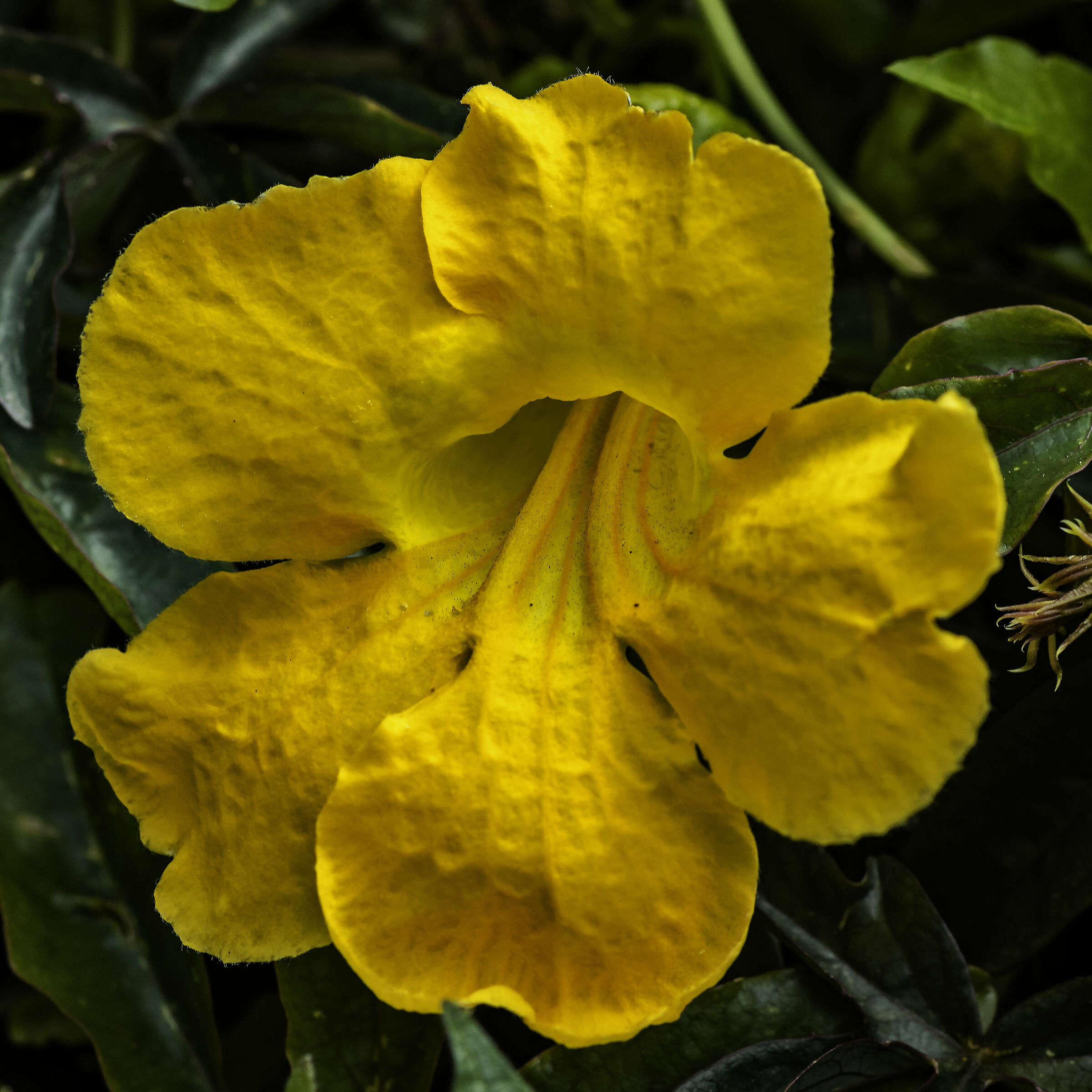 Beautiful is the ugly and ugly is the beautiful