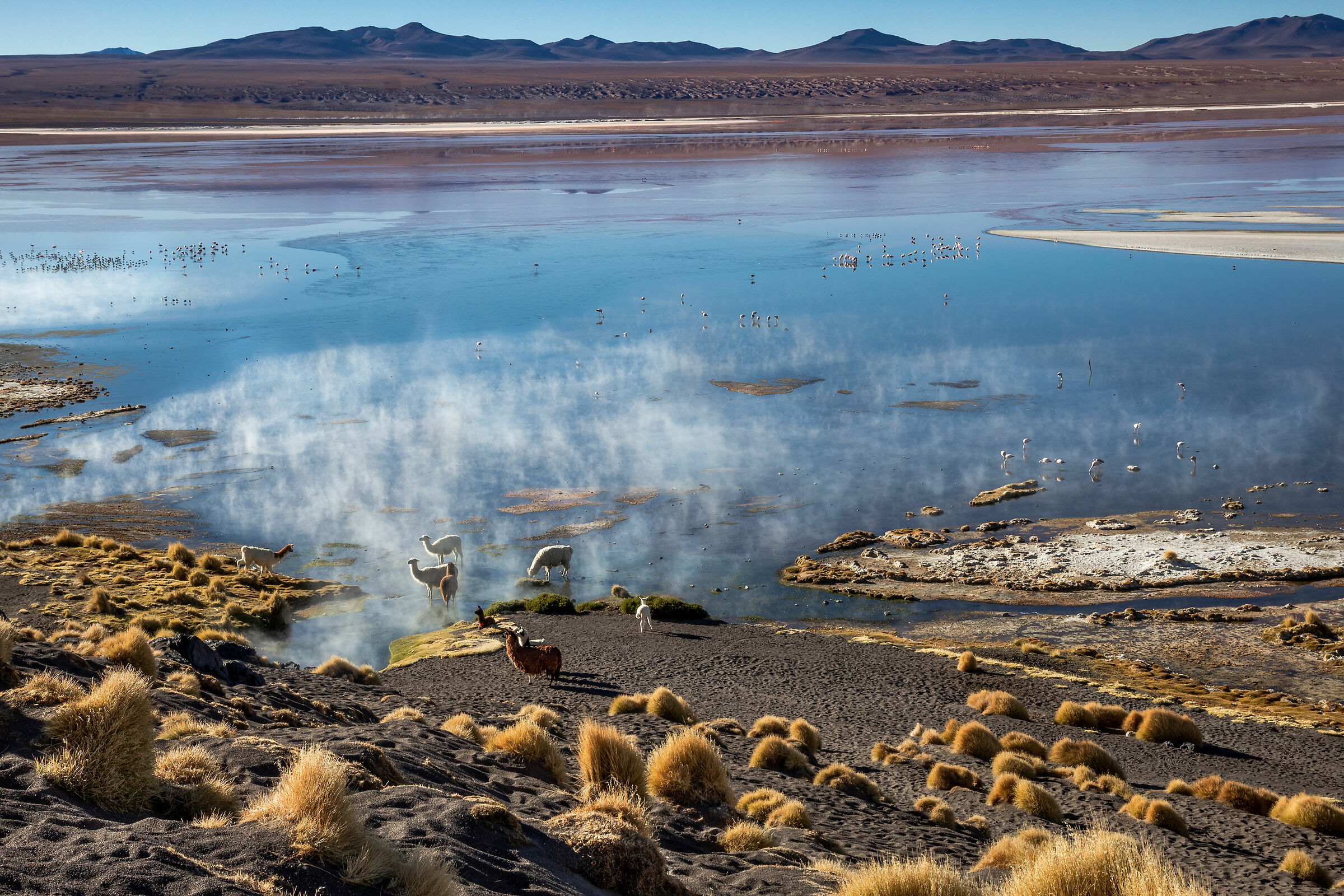 Risveglio in Bolivia