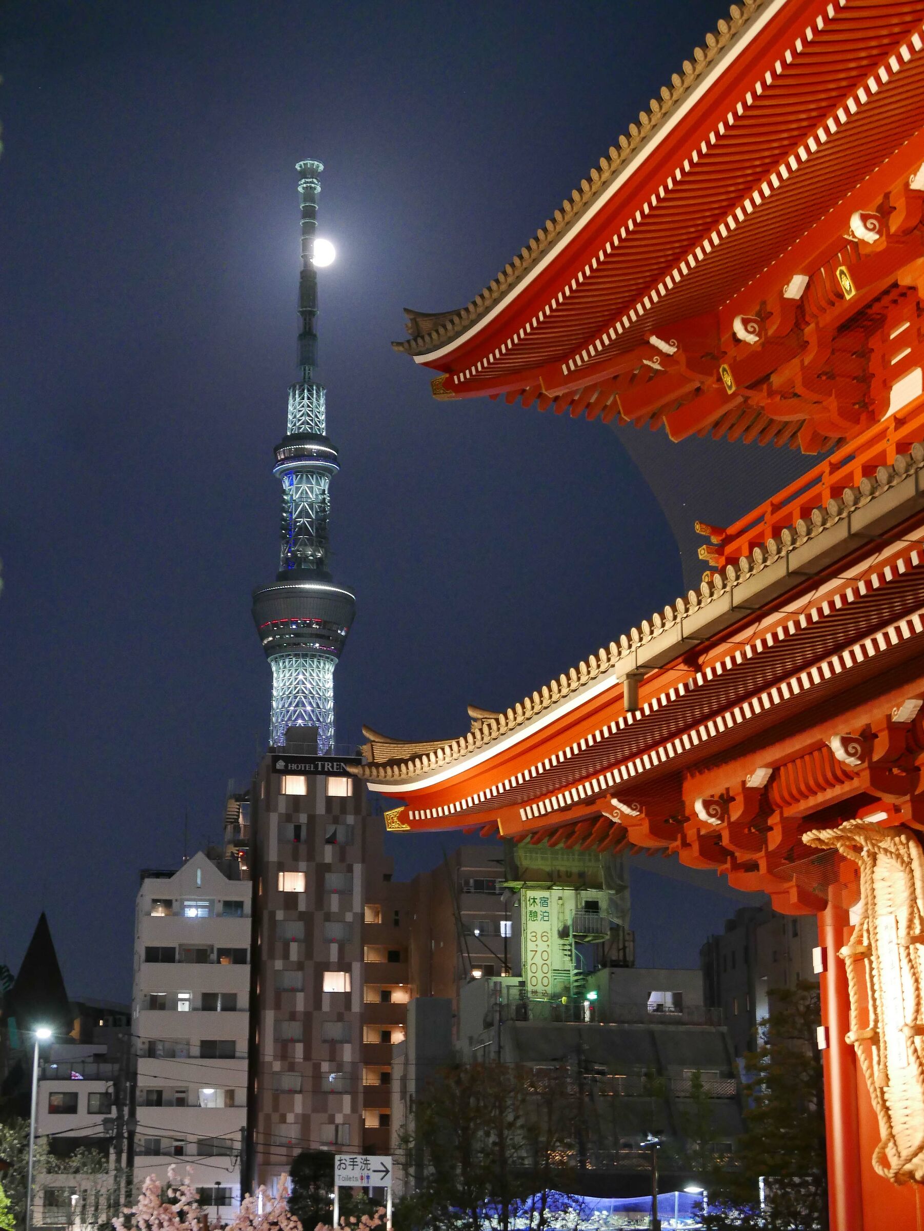 Tokyo Sky Tree by night