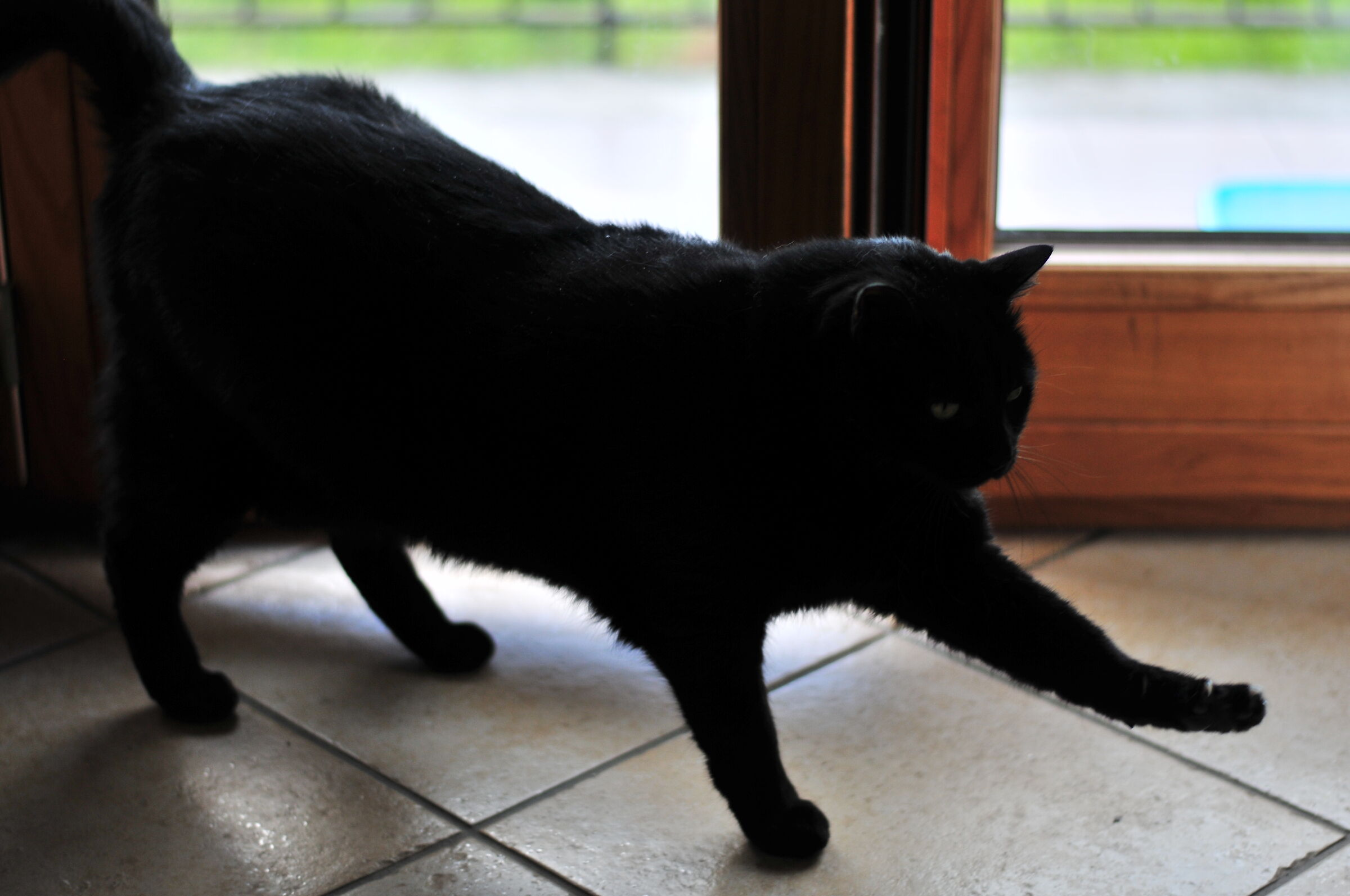 Nap Zorba and Richar Parker