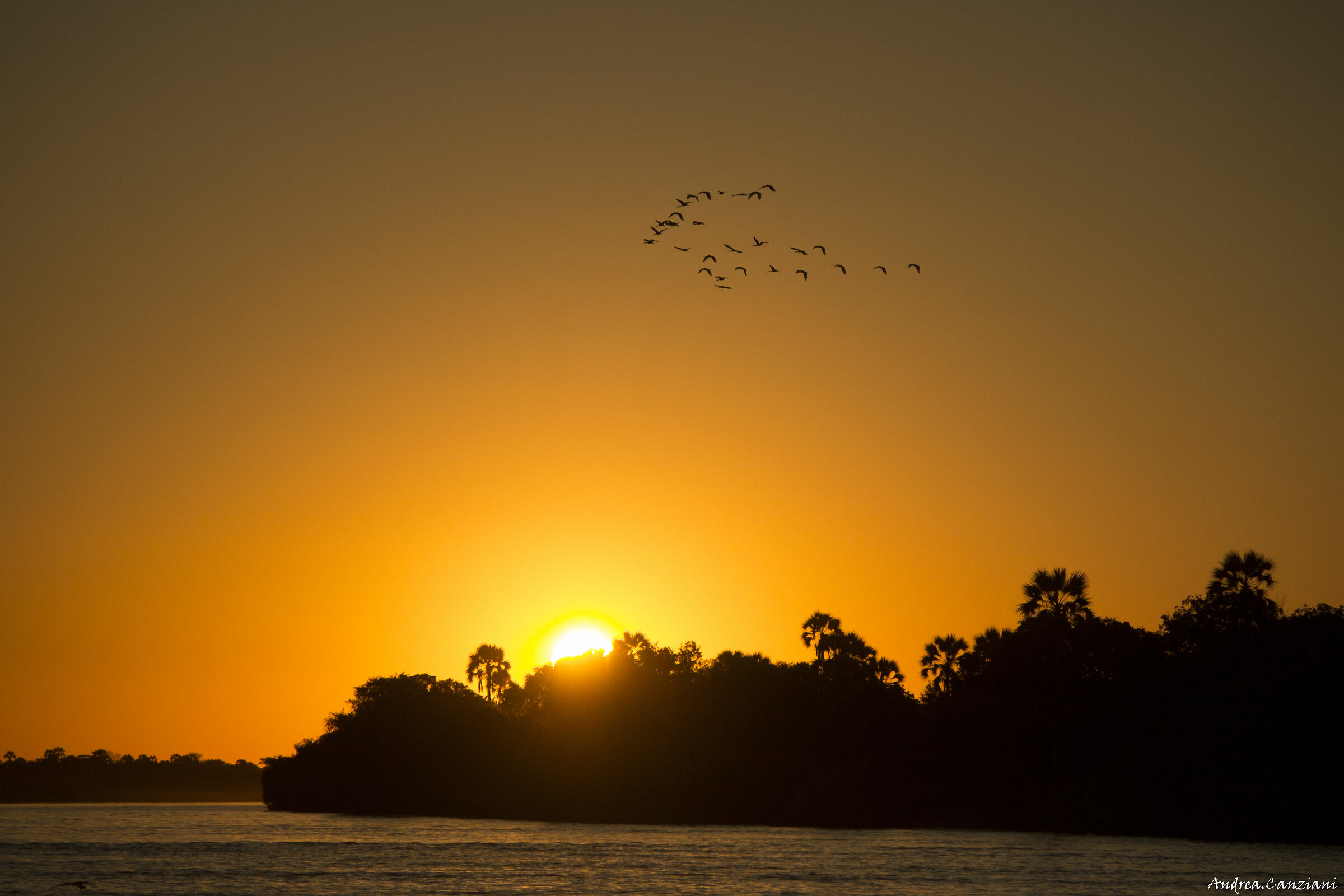 Tramonto sullo Zambesi