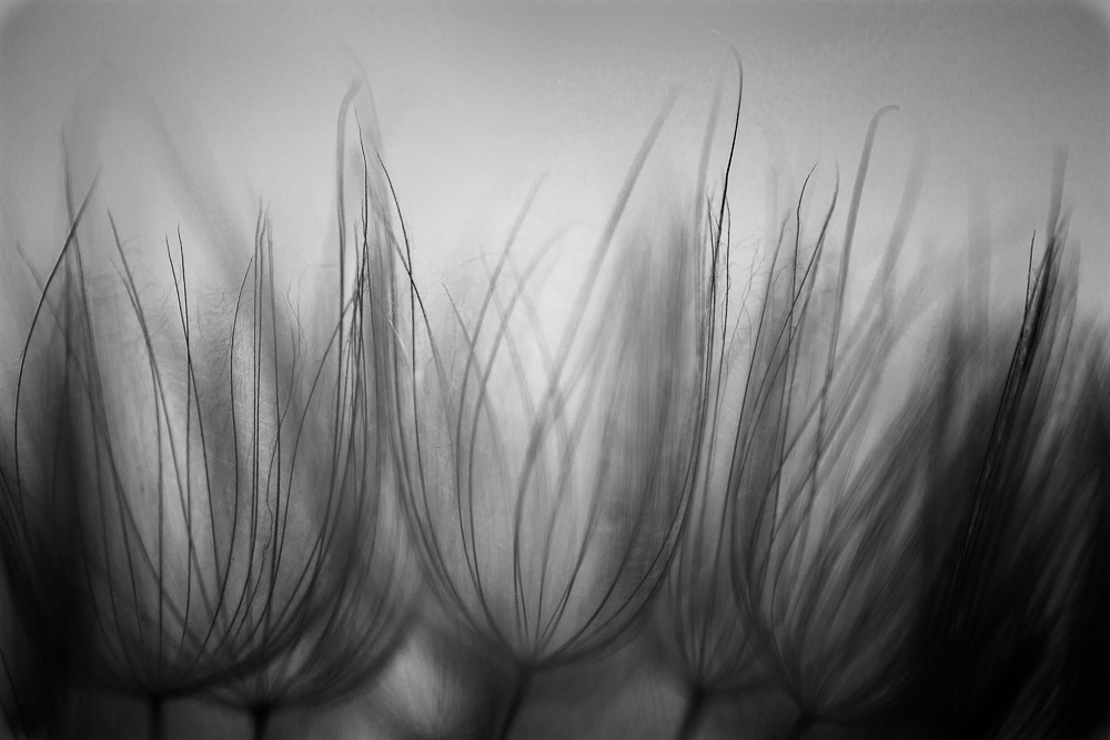 sfumature minimaliste