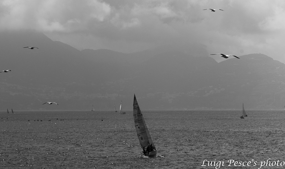 Regatta of the Bourbons