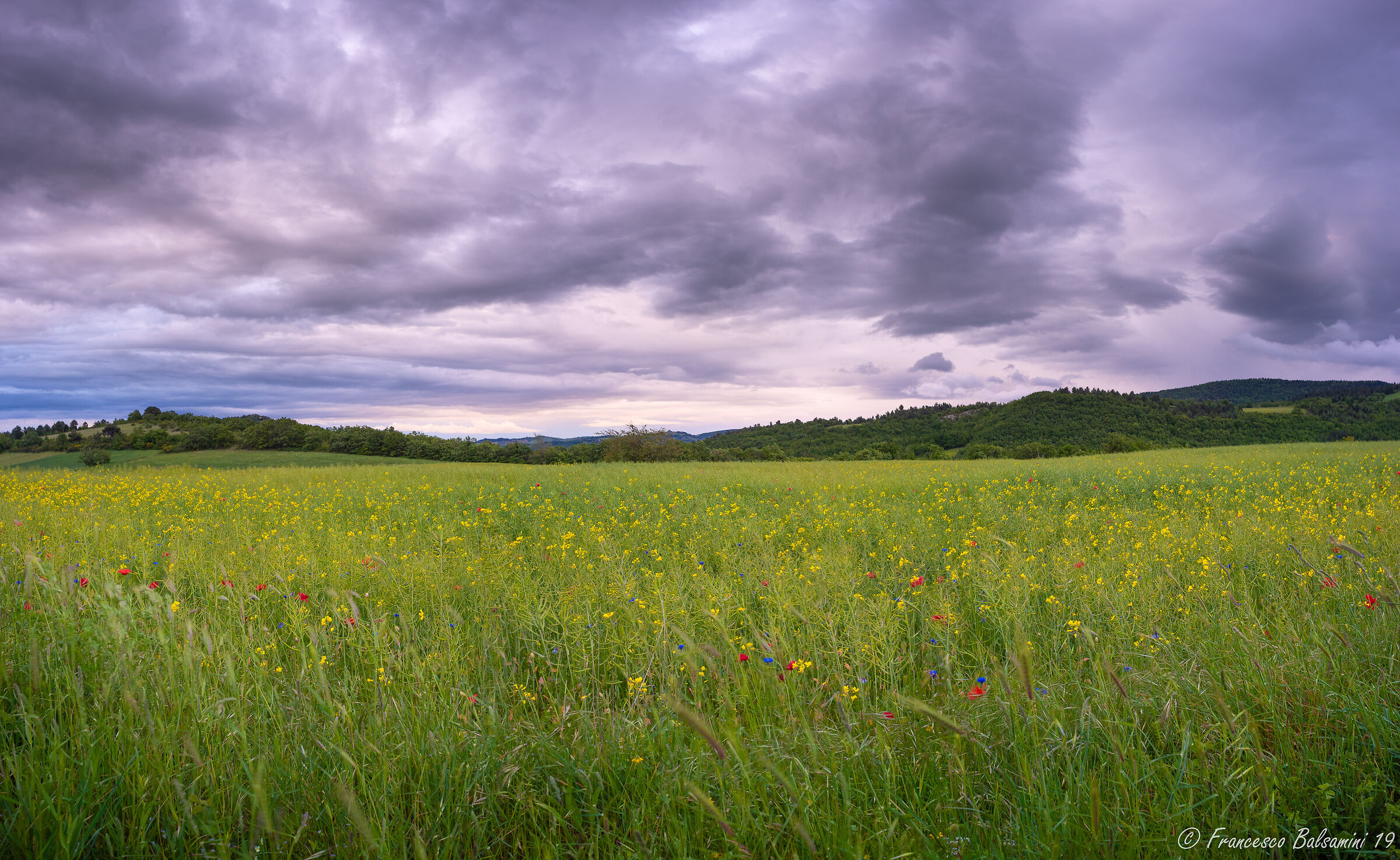 The quiet and the storm
