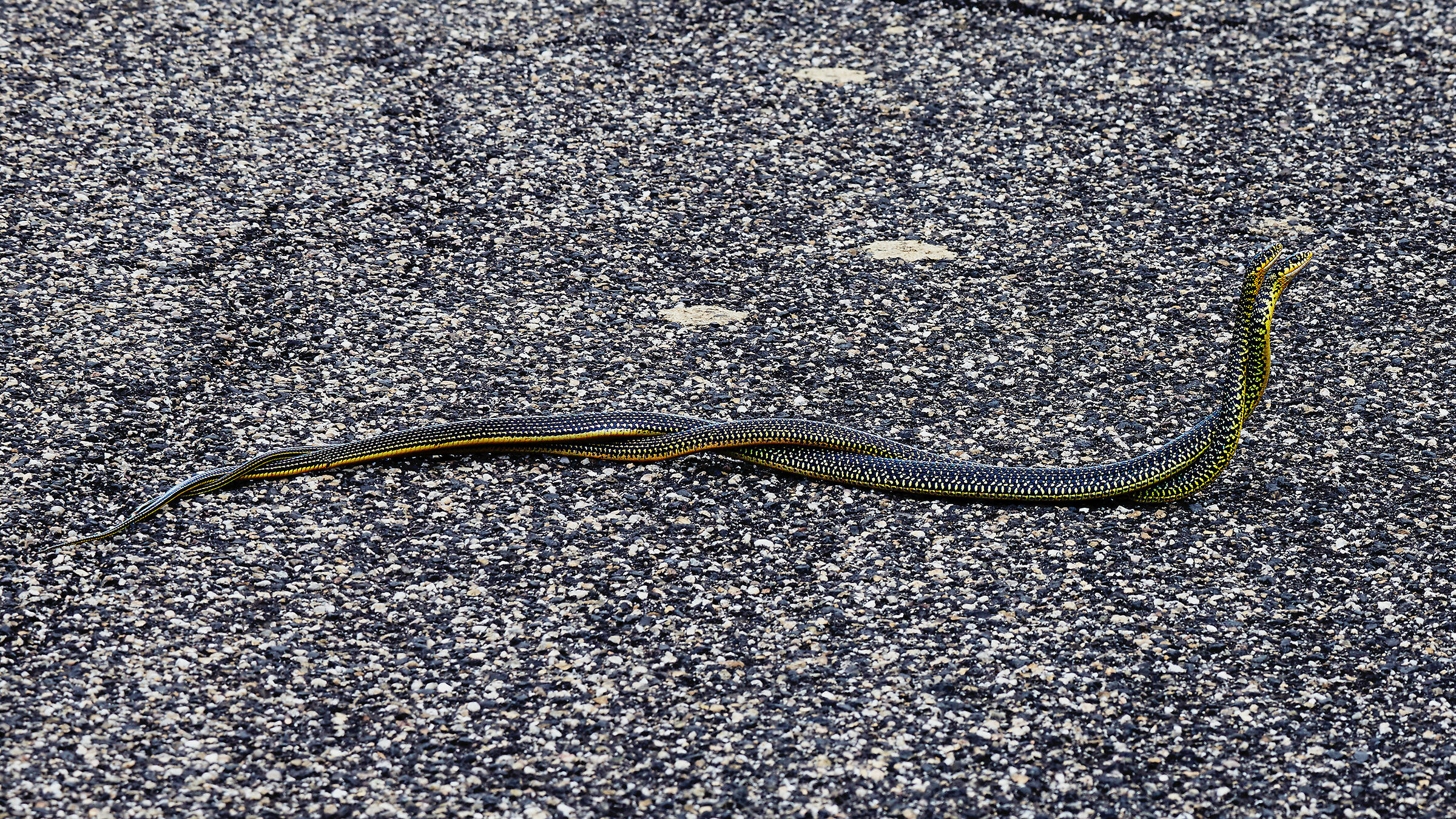 Stretti stretti nell'estasi d'amor