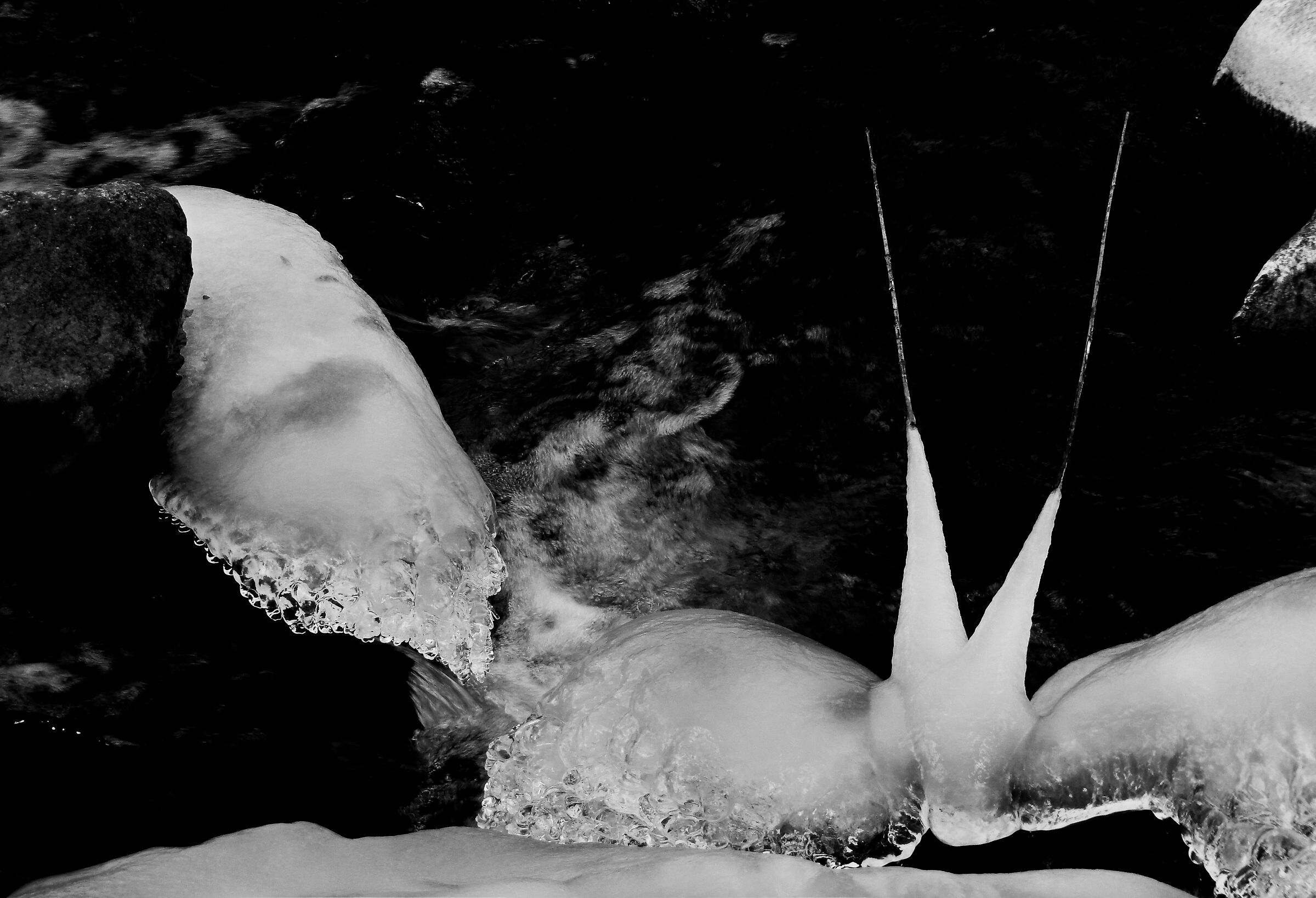 Incontri ravvicinati …