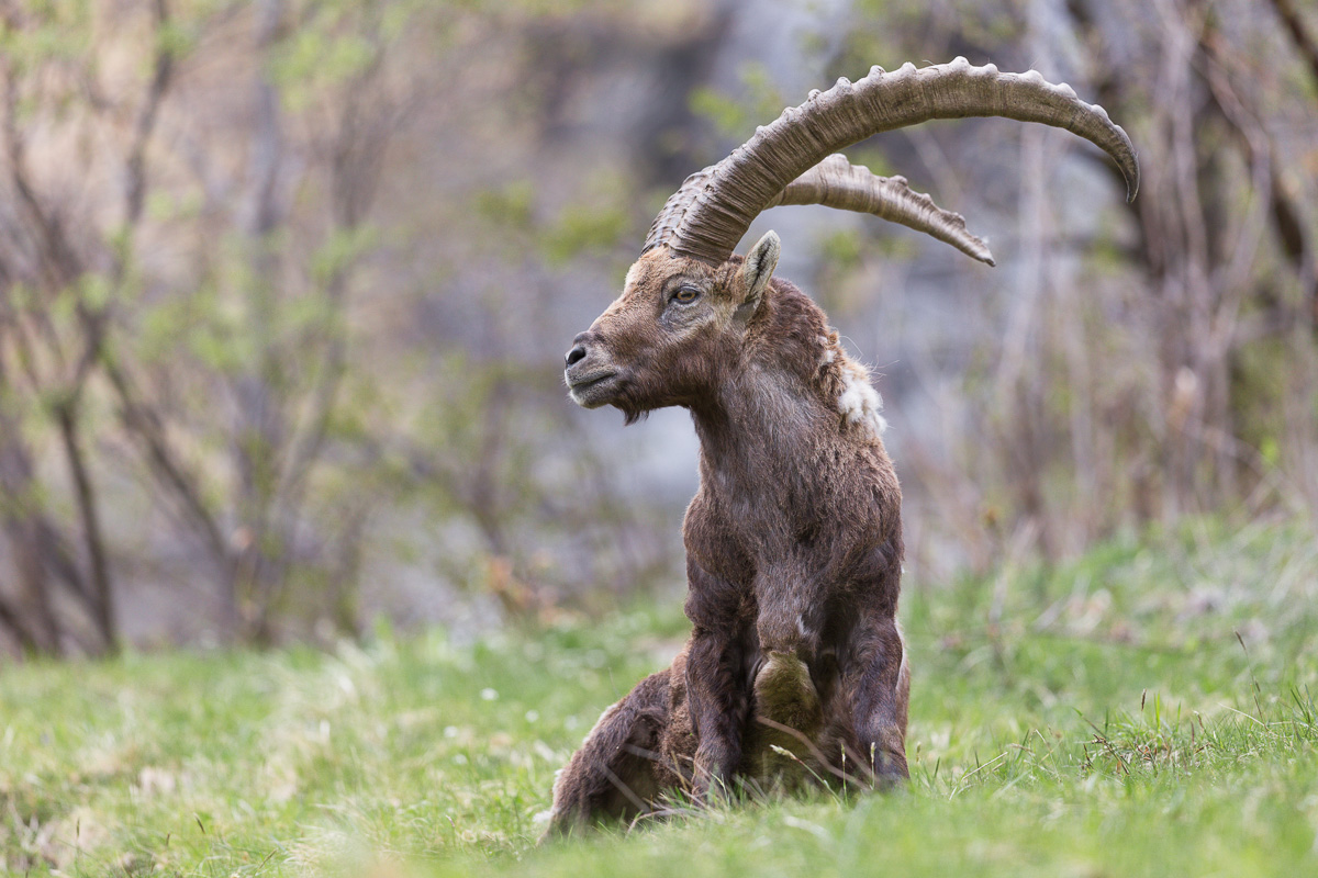 Un pò di riposo e contemplazione non fa mai male ...