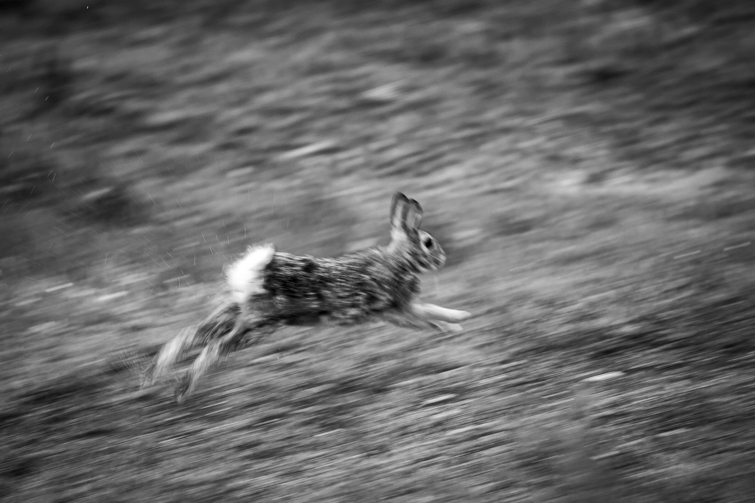 Untitled Photo