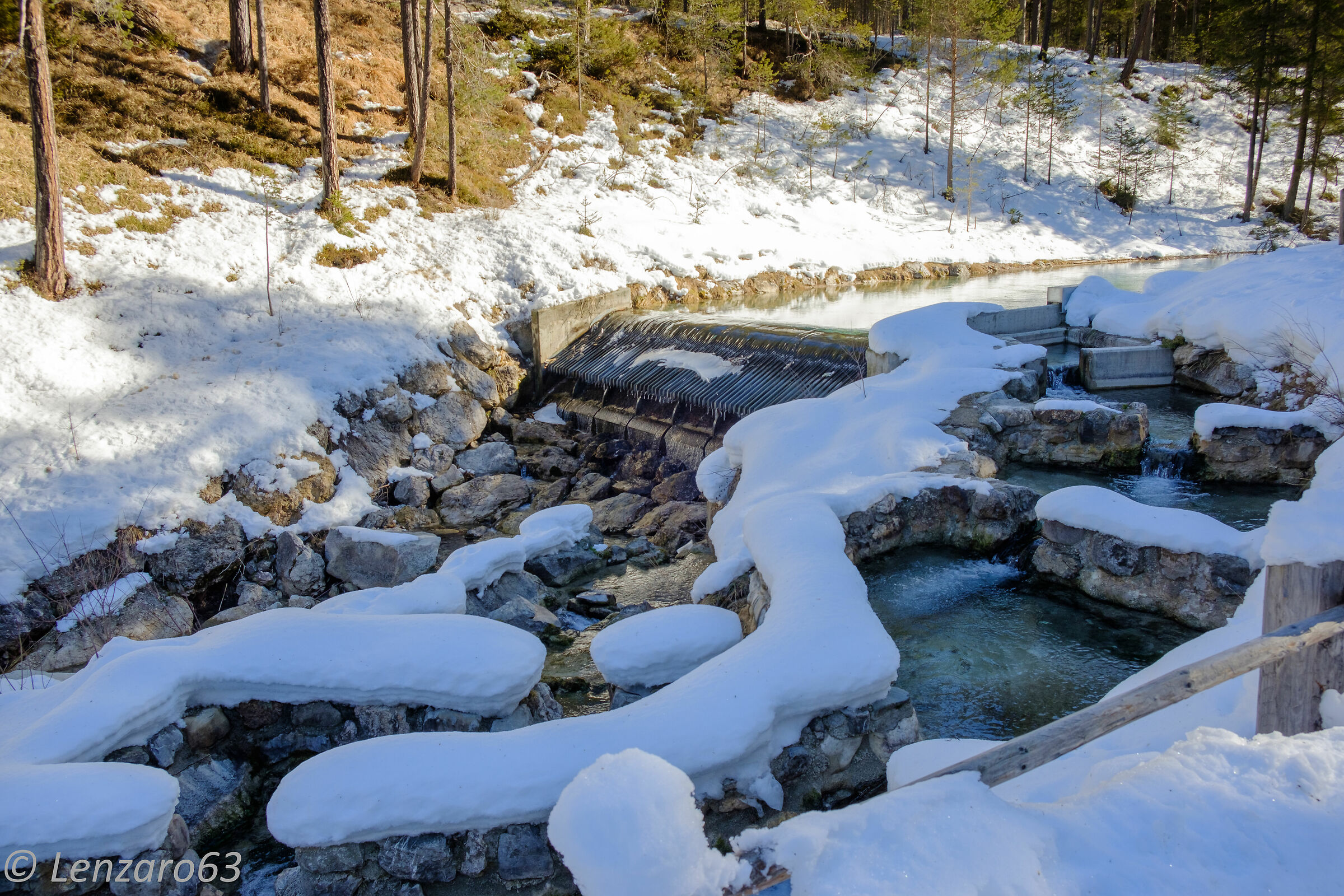 nei boschi Dolomiti di Fanes