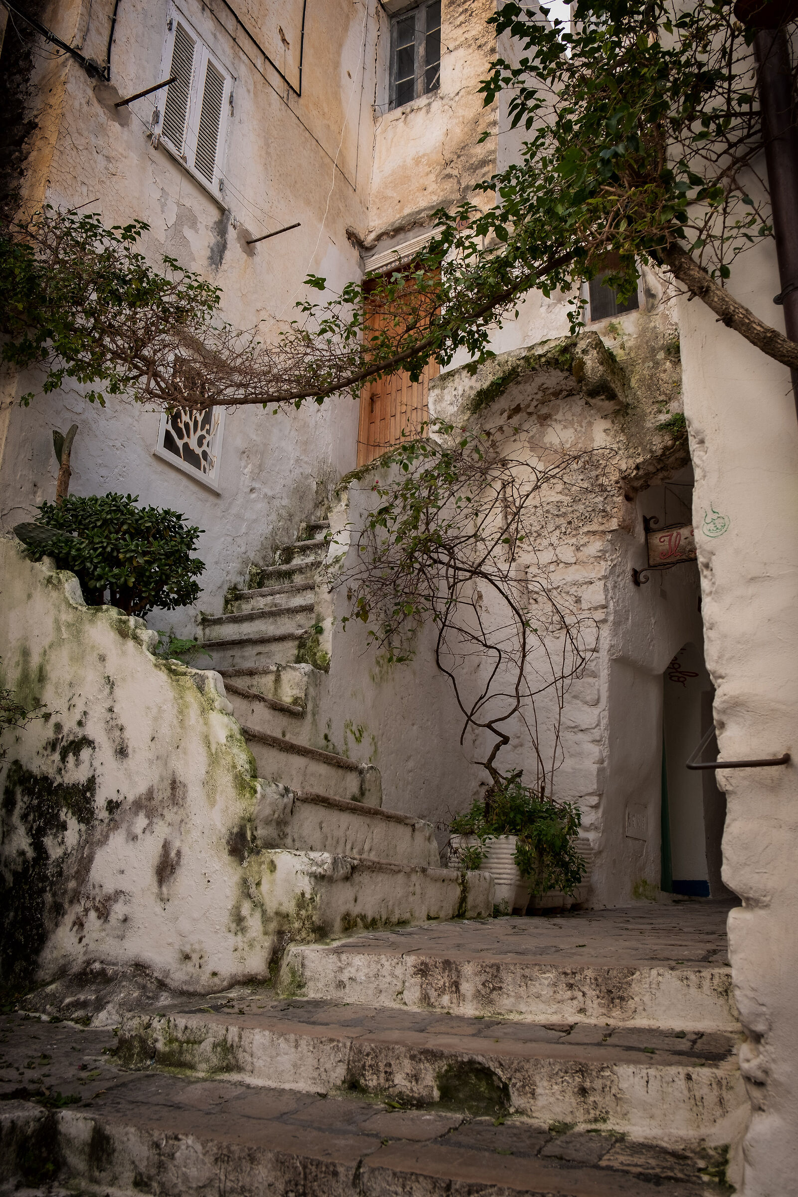 Alleys and ladders in Sperlonga