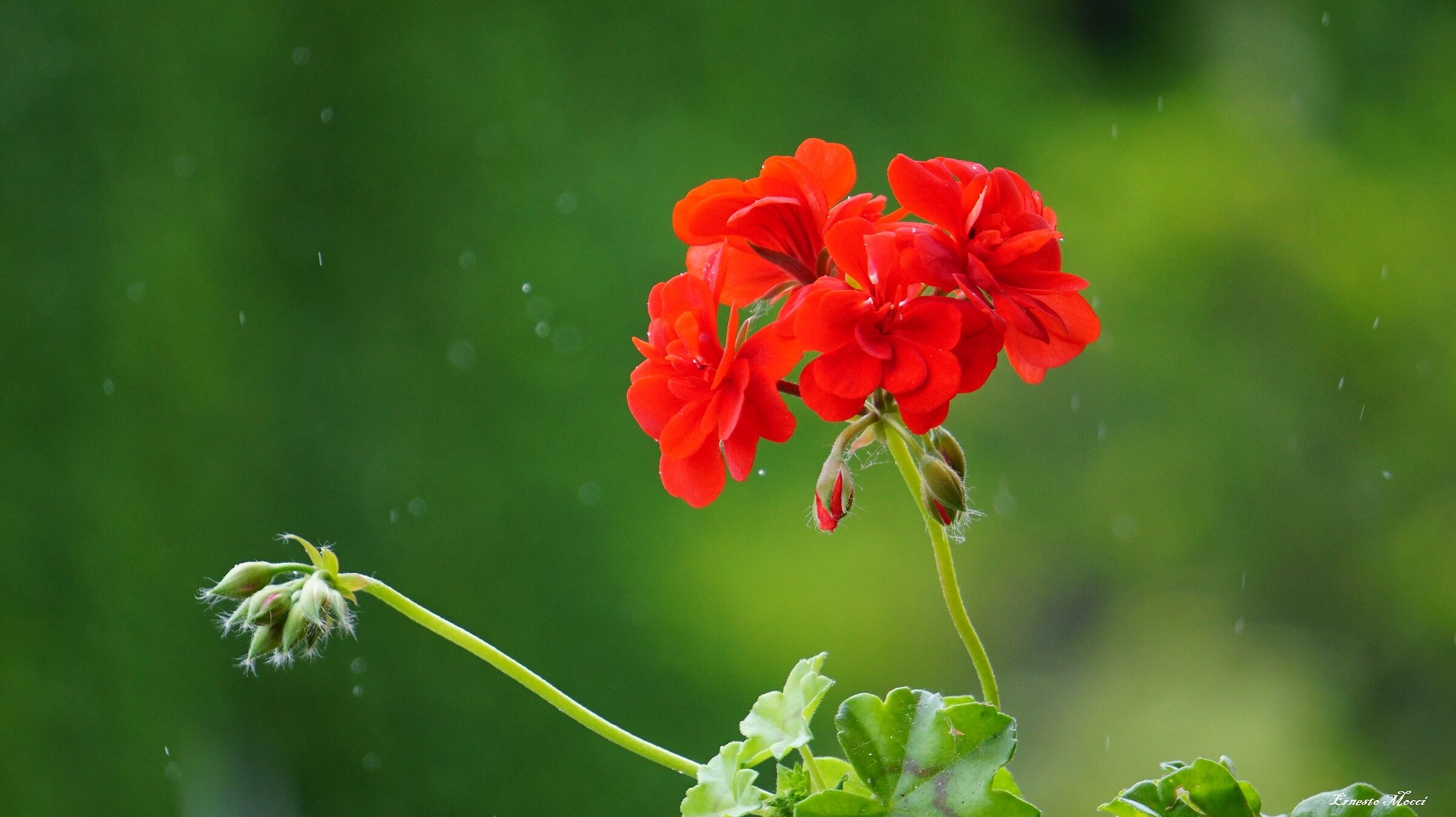 Breathe (In The Air)