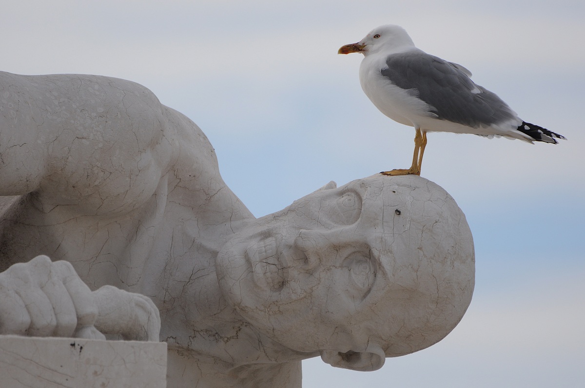 Roma - Sosta al Vittoriano