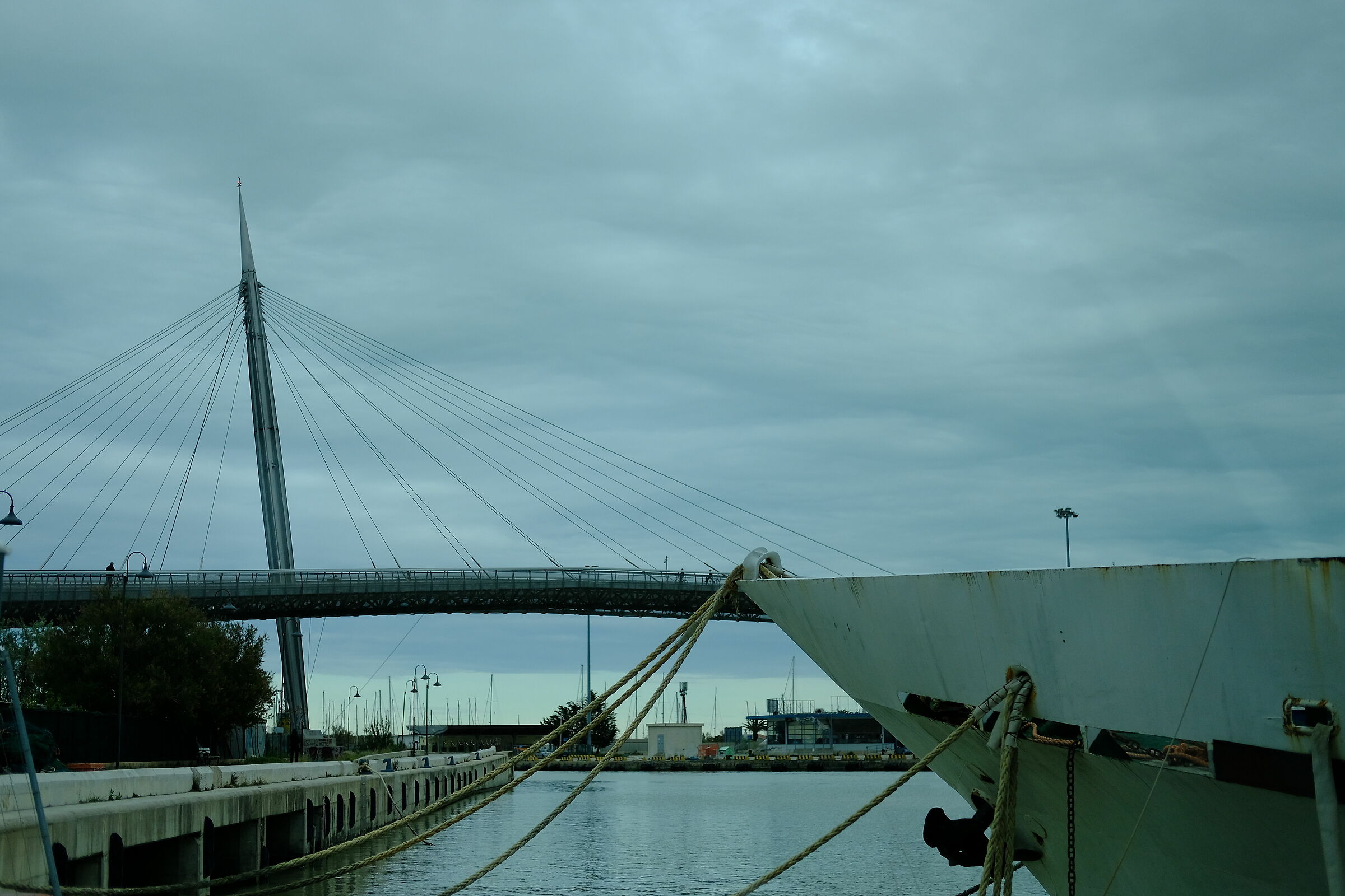 Untitled Photo