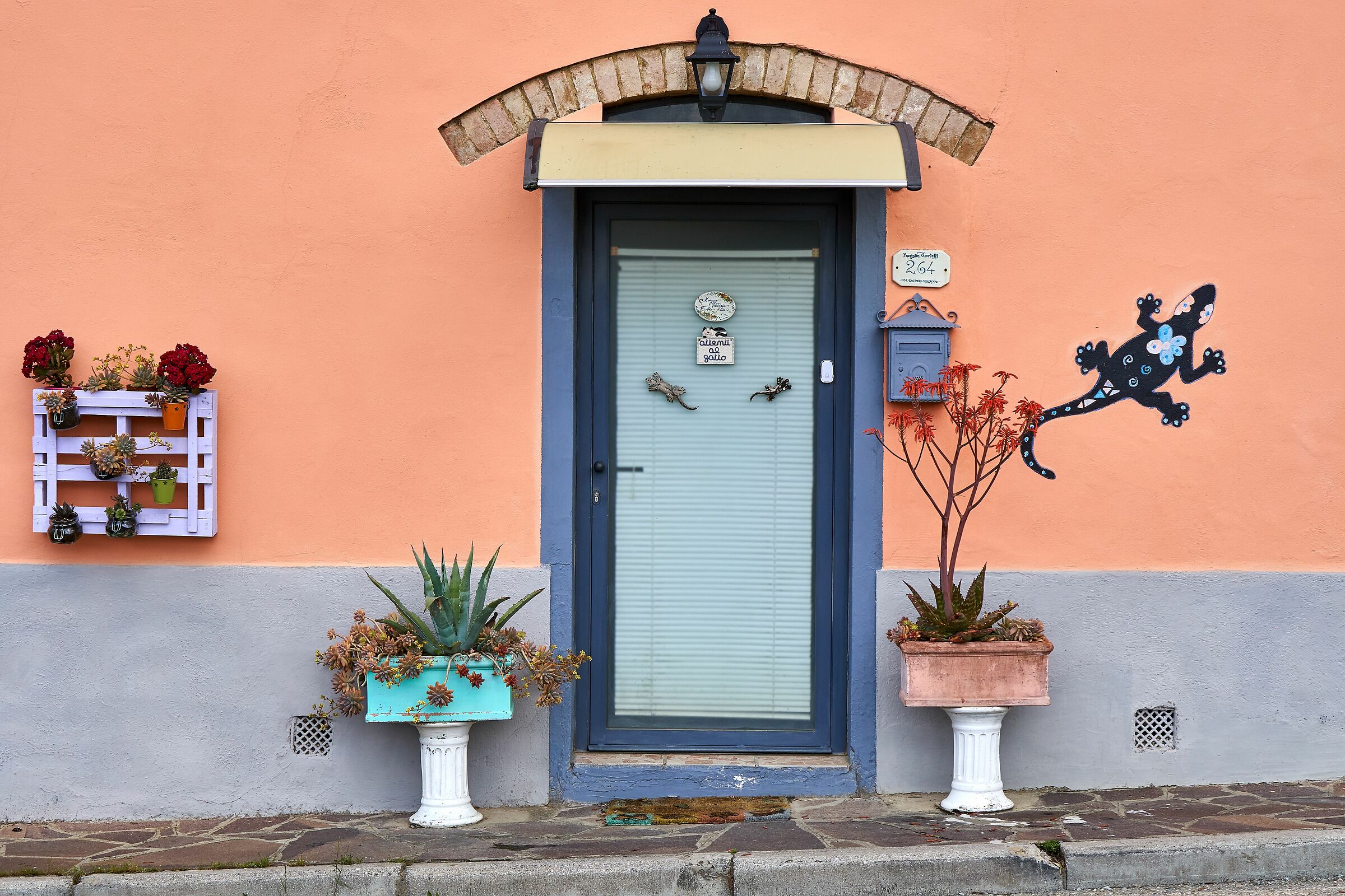 The House of the Salamander