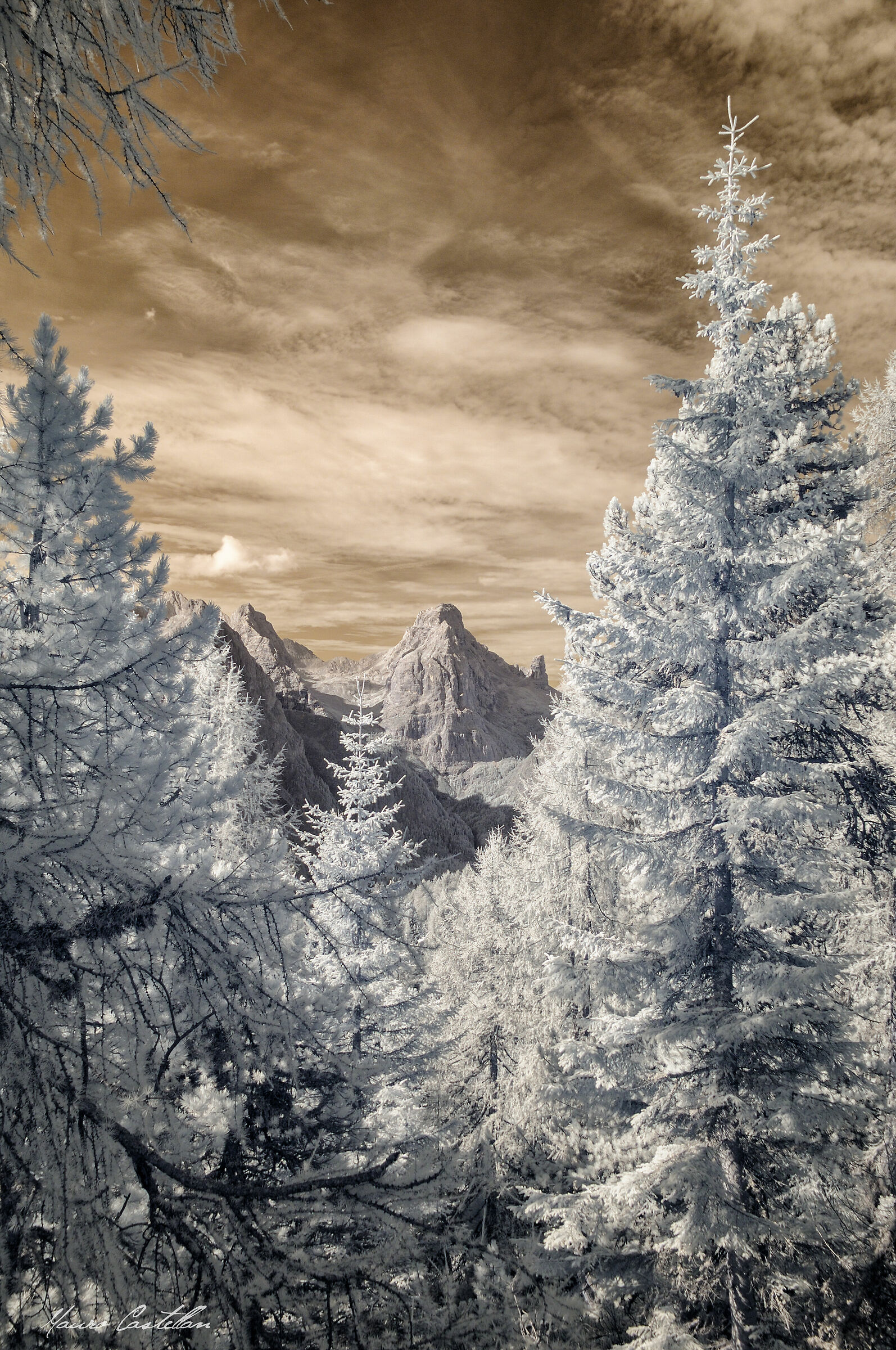 Dolomitic foreshortening