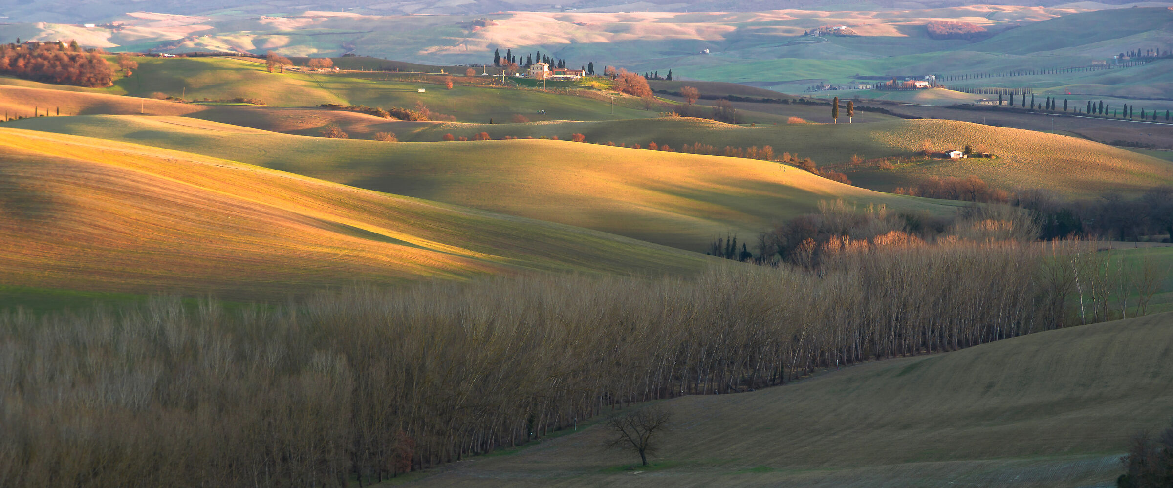 Last lights in the hills near San Quirico d'orcia