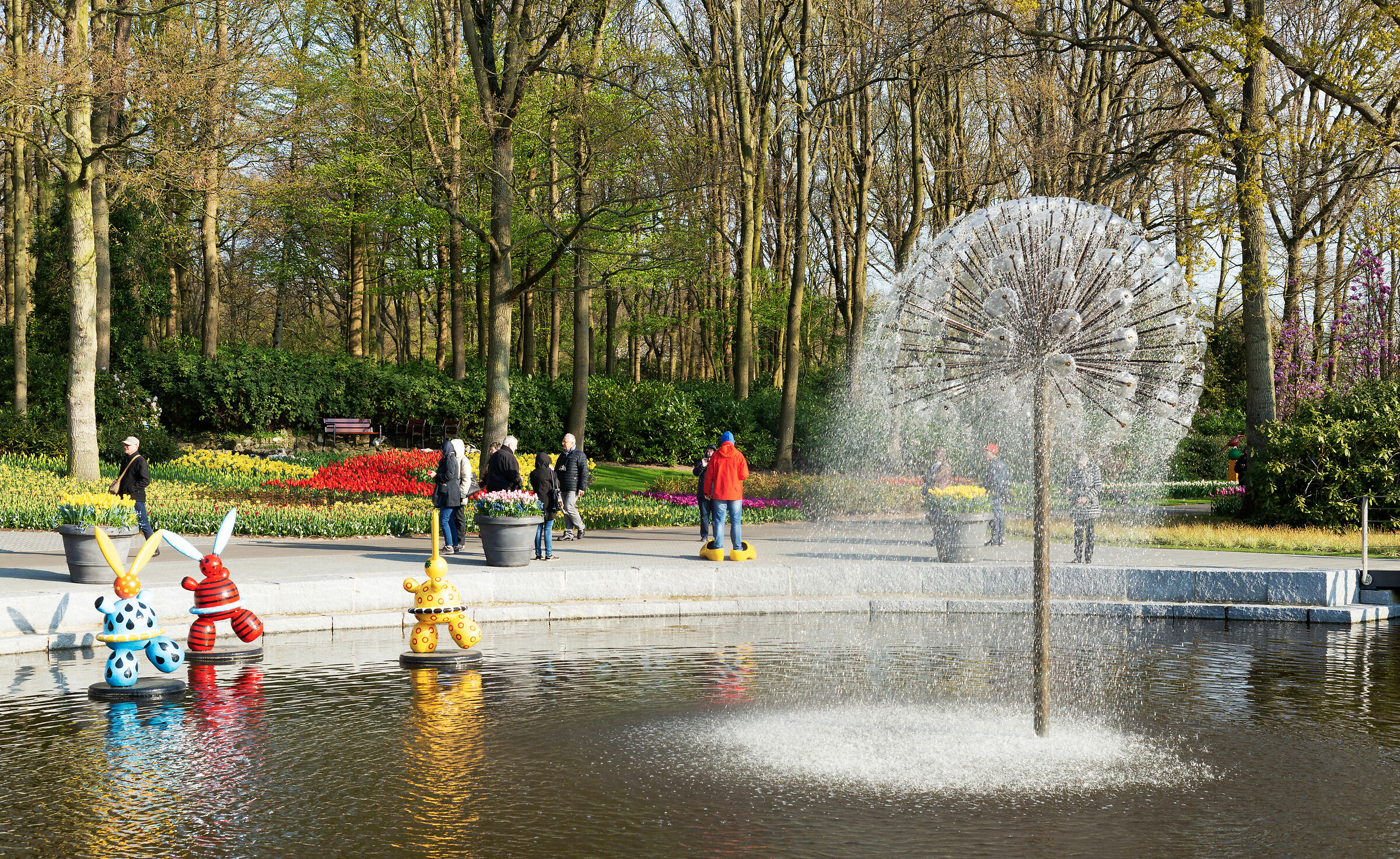 fiore d'acqua keukenof