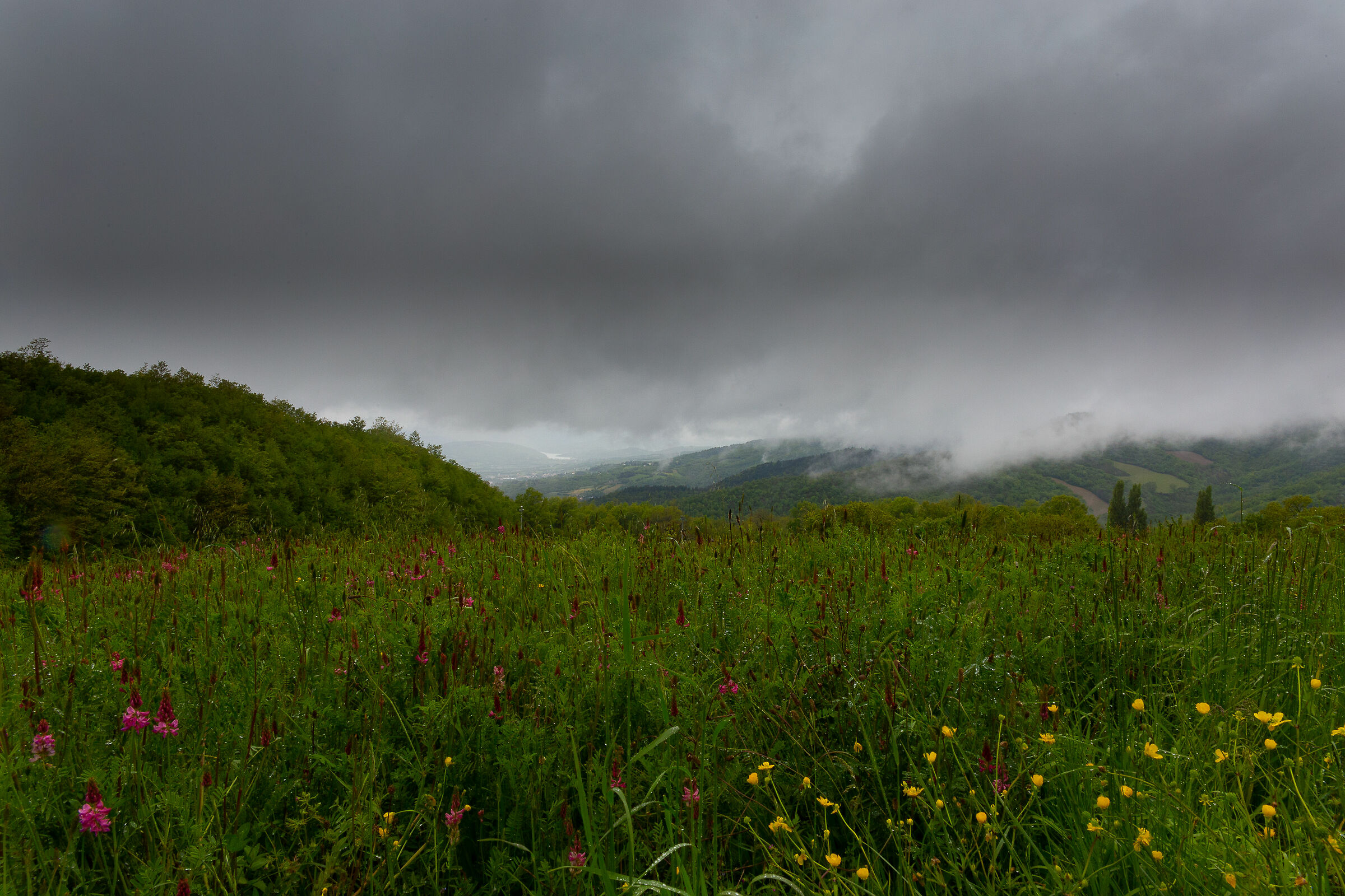 Arrivera anche la primavera