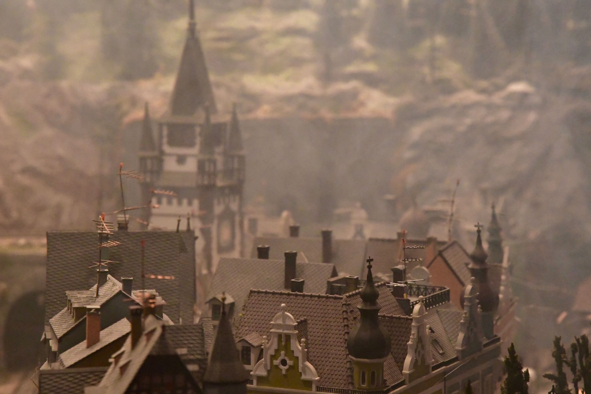 Roofs from my little world