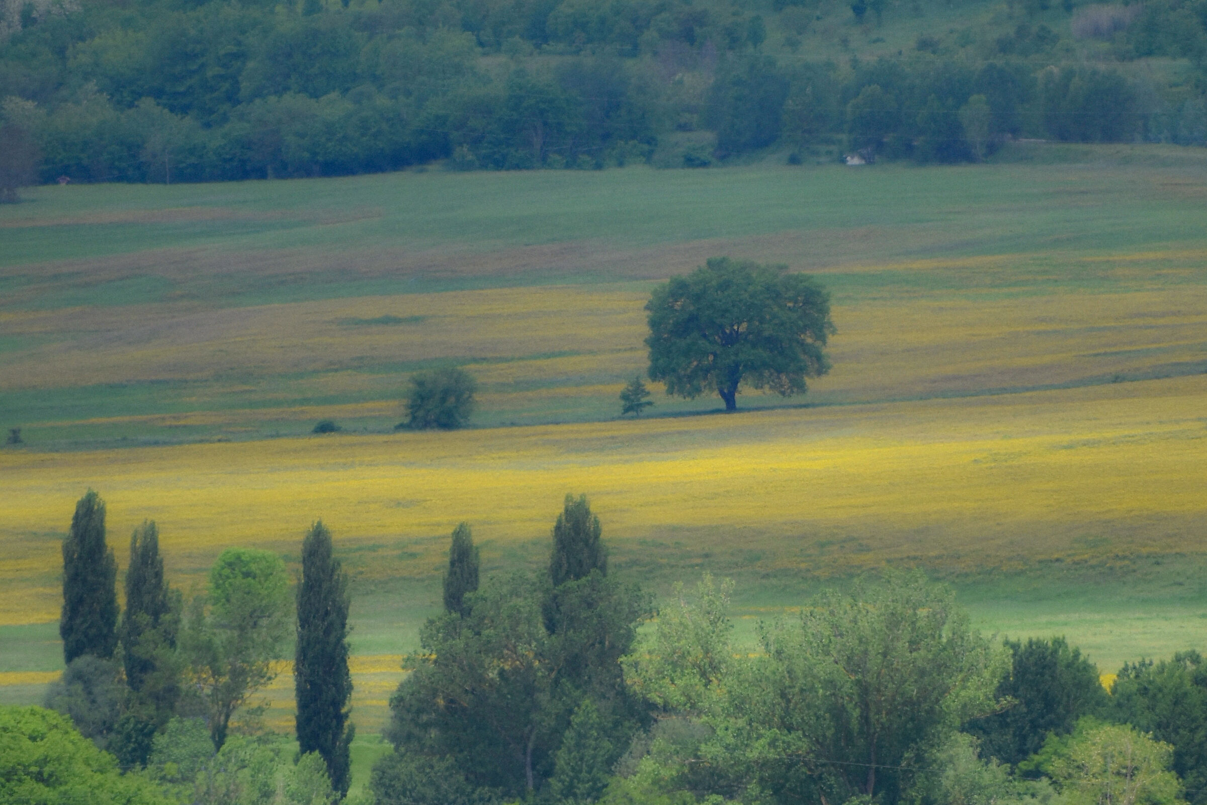 Colors In the distance