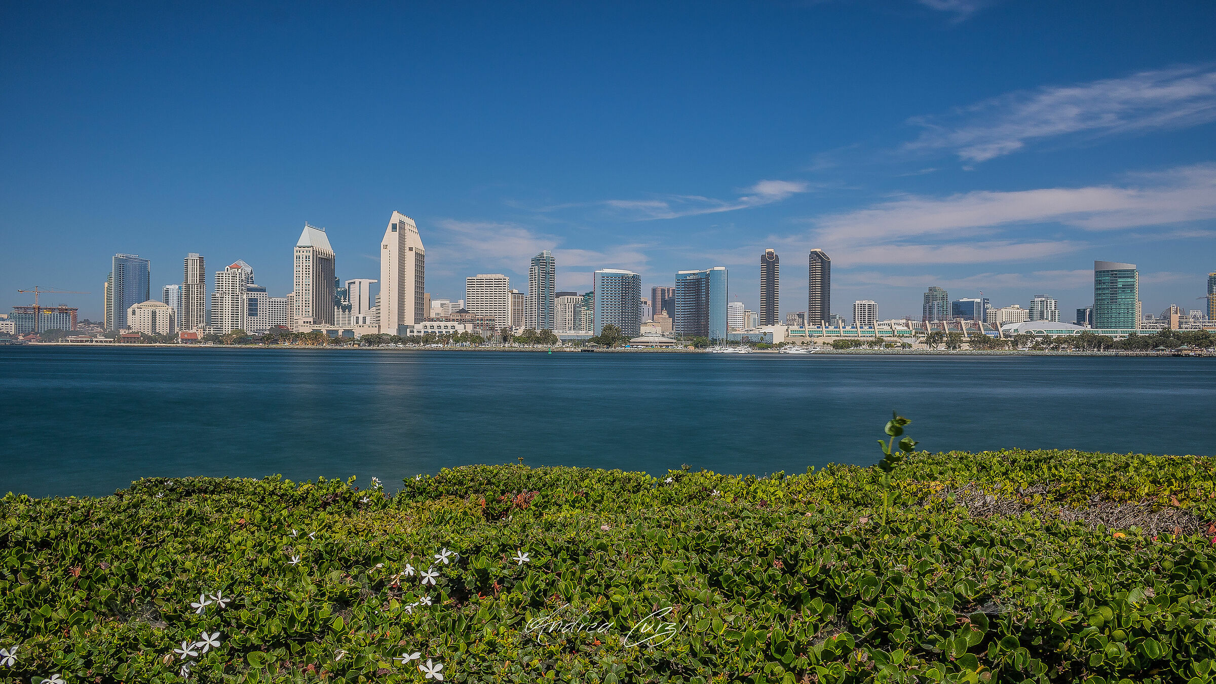 San Diego Skyline 2