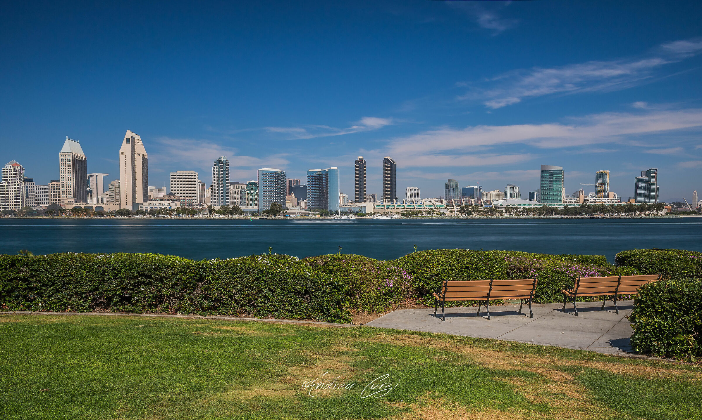 San Diego Skyline 3