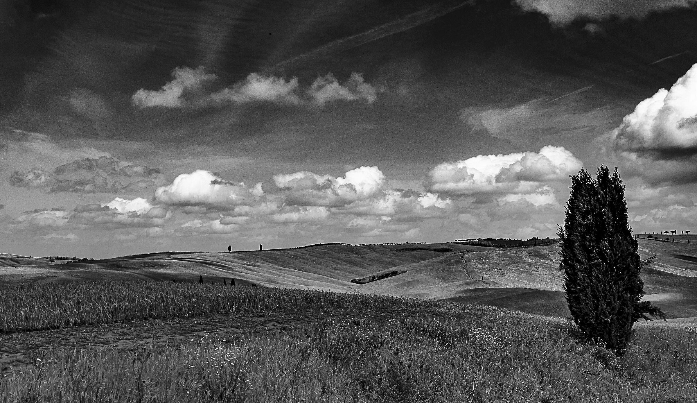 After the thunderstorm