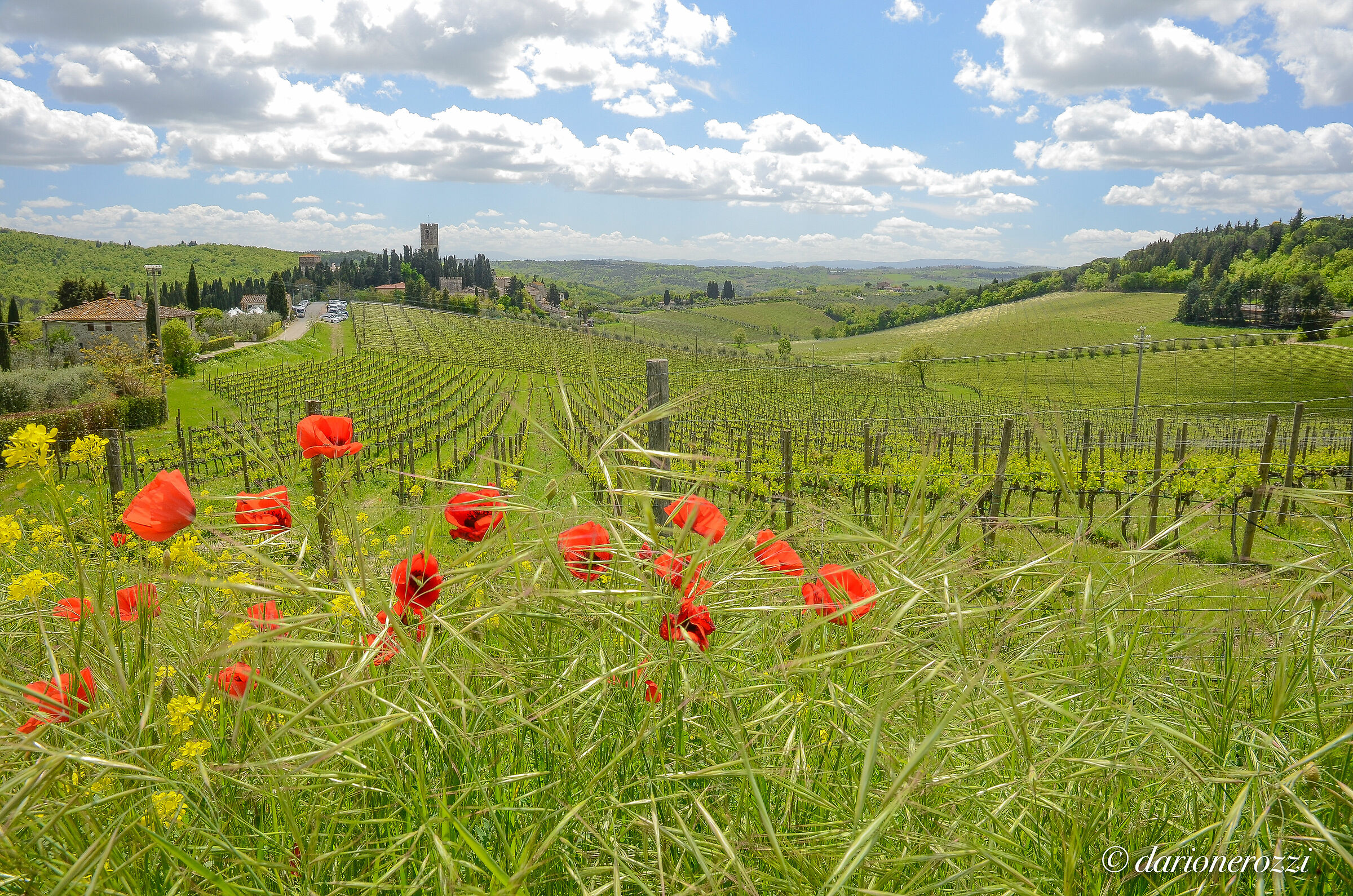 Badia a Passignano_Barberino Tavarnelle-Firenze