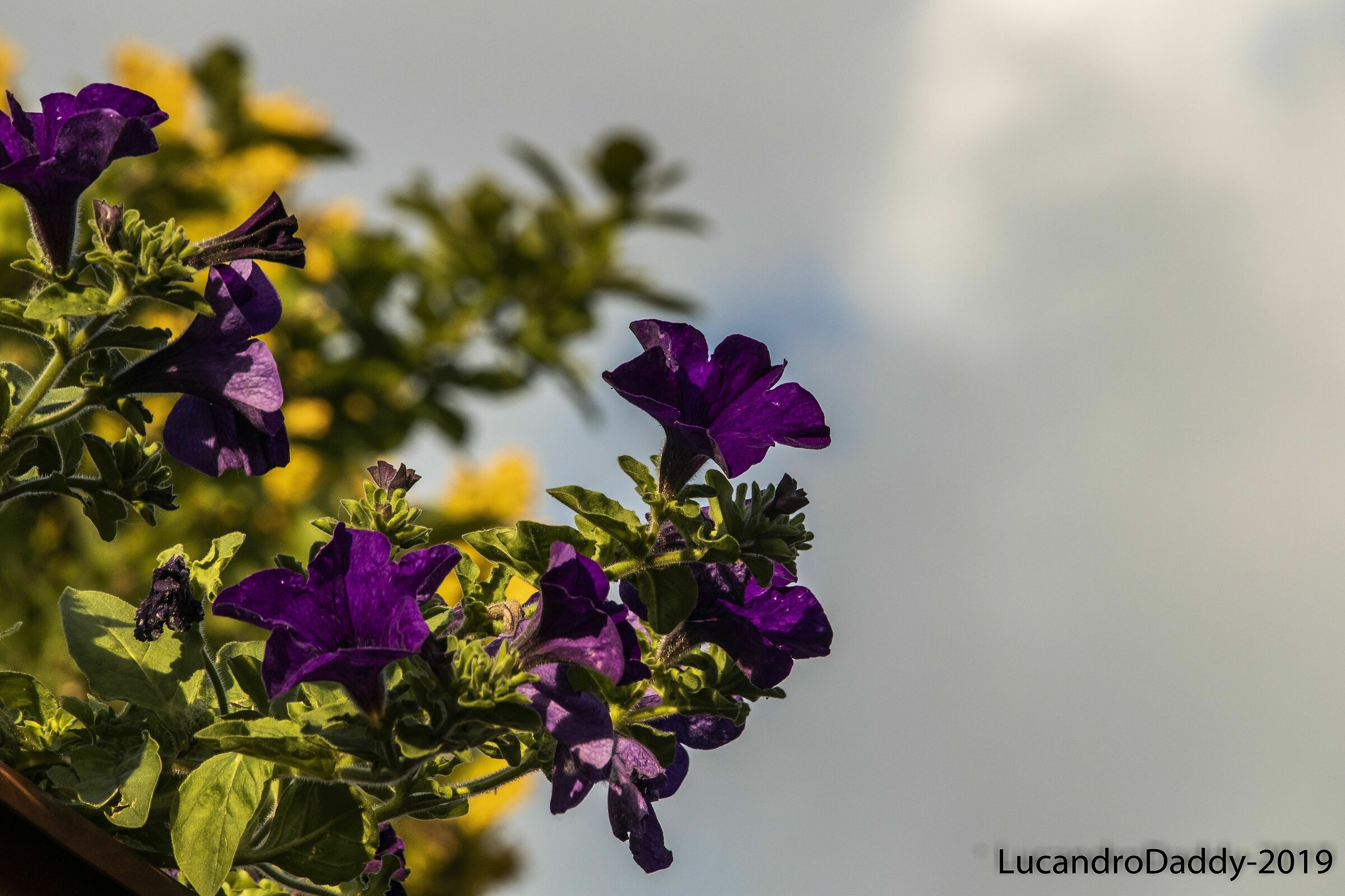 The wonders of Nature