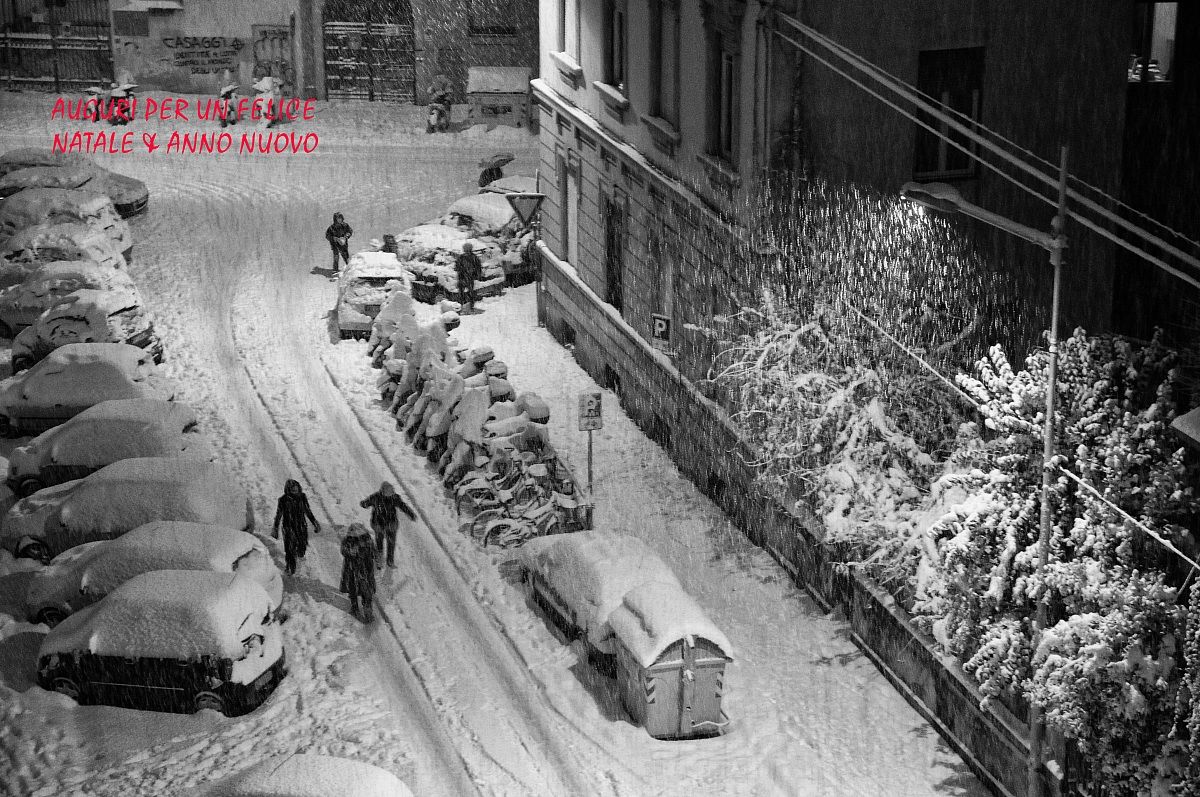 christmas with reflection