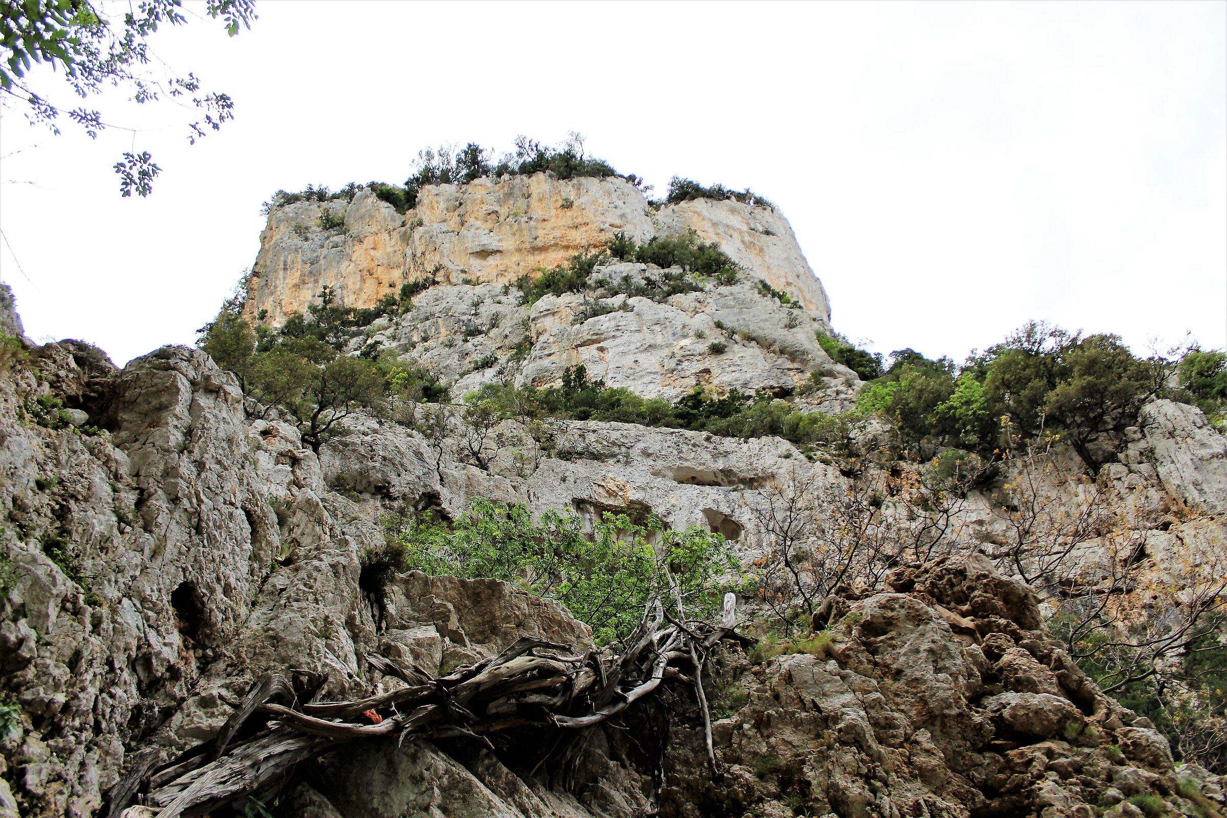 Bacu Mudaloru-Baunei-Sardegna