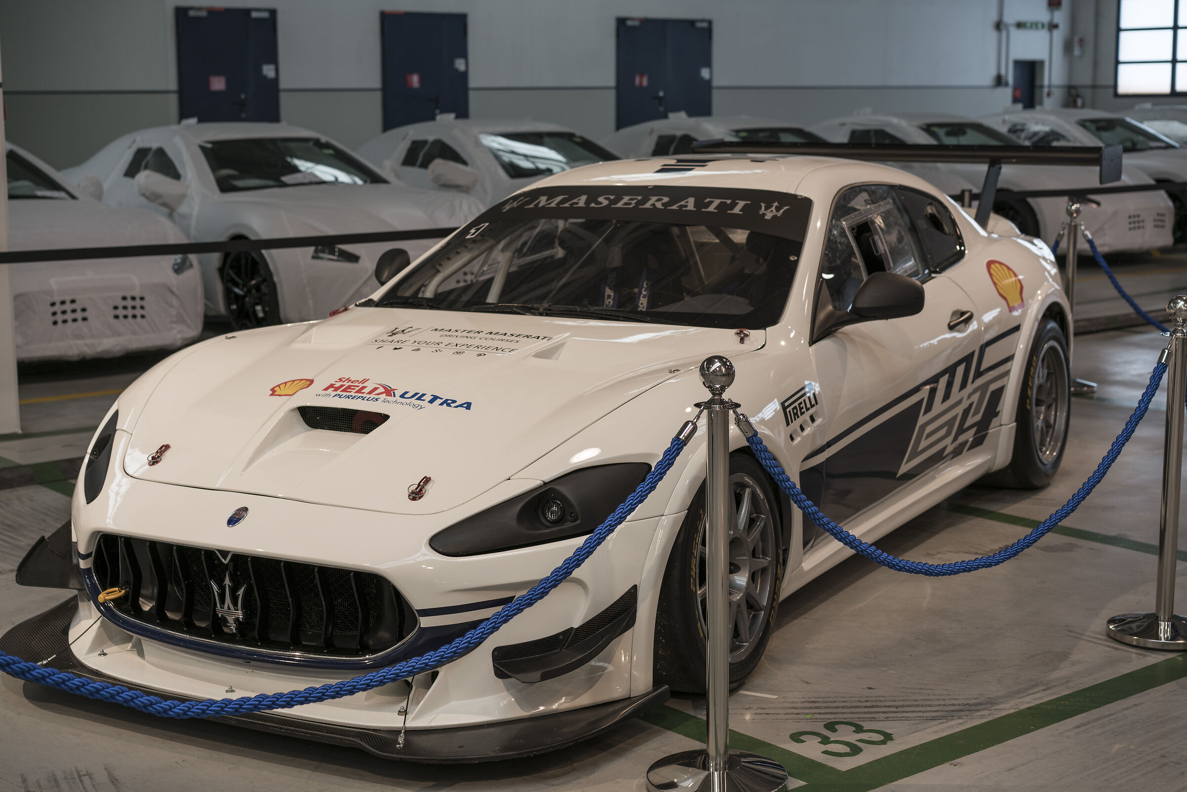 La bestia in gabbia...