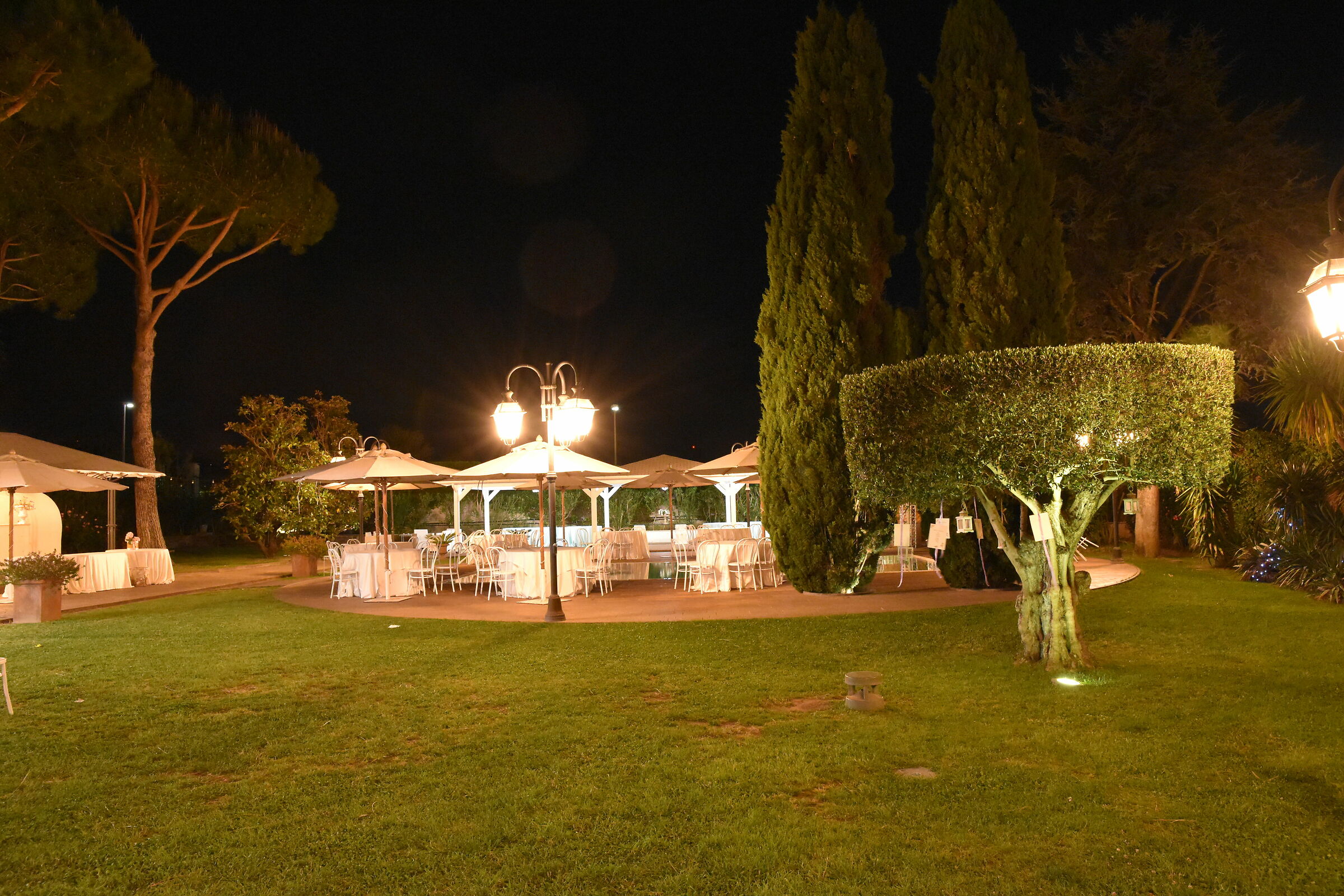 In the evening starlit lights