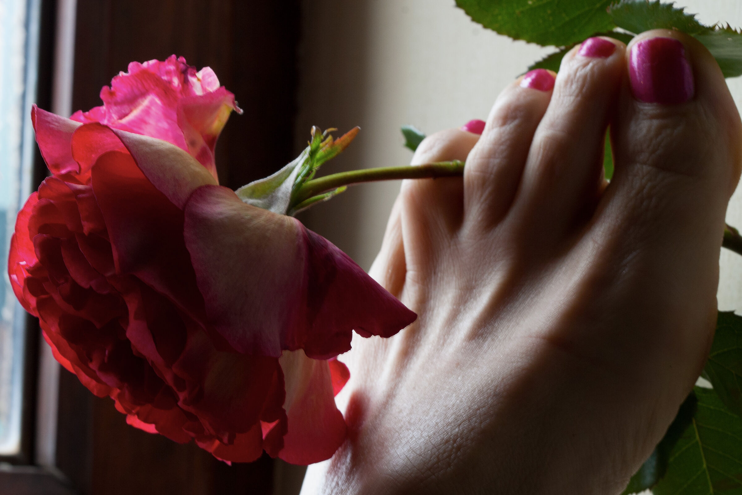 We learn to enter with light foot.... In the Life of