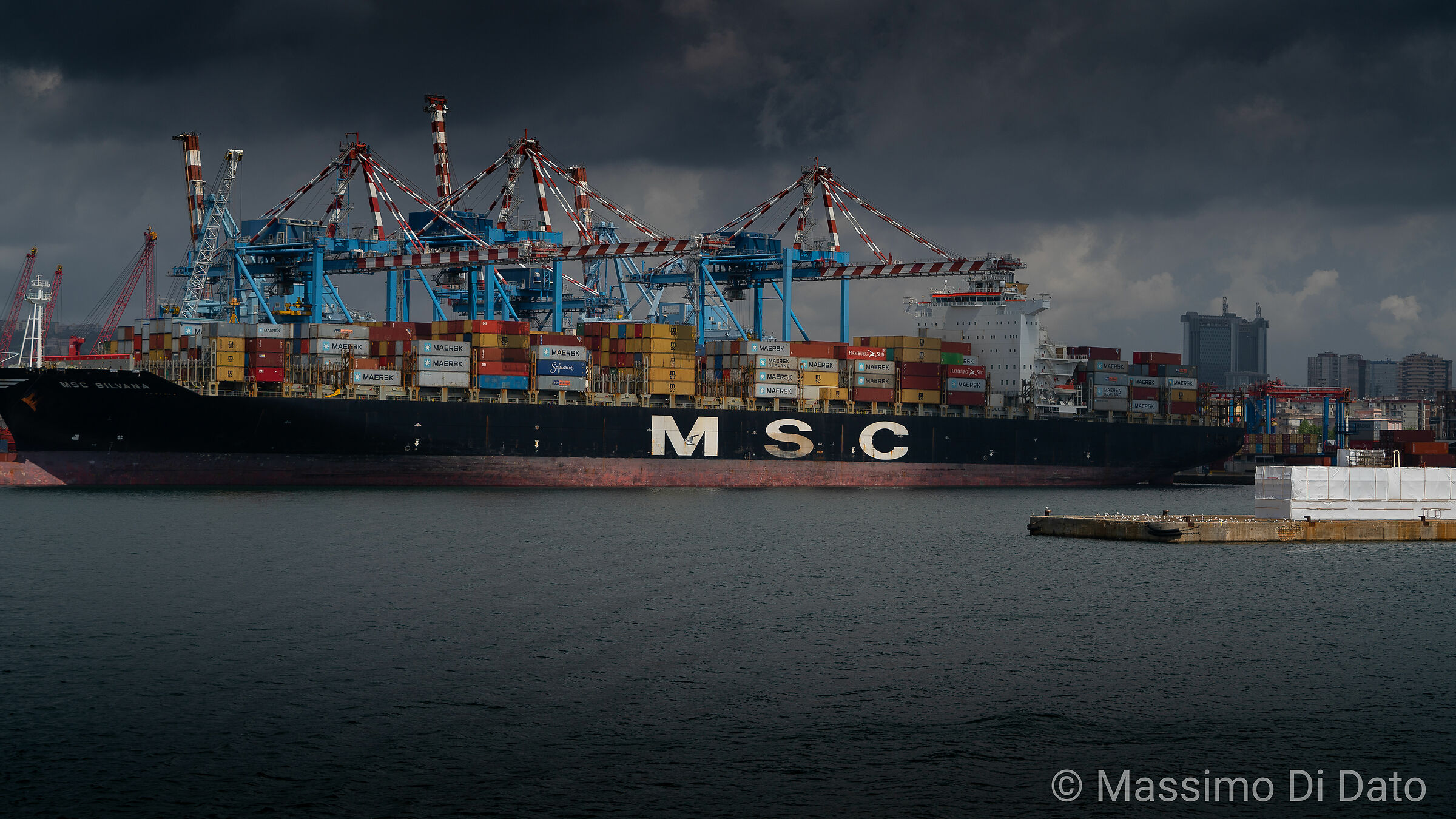 Cargo MSC