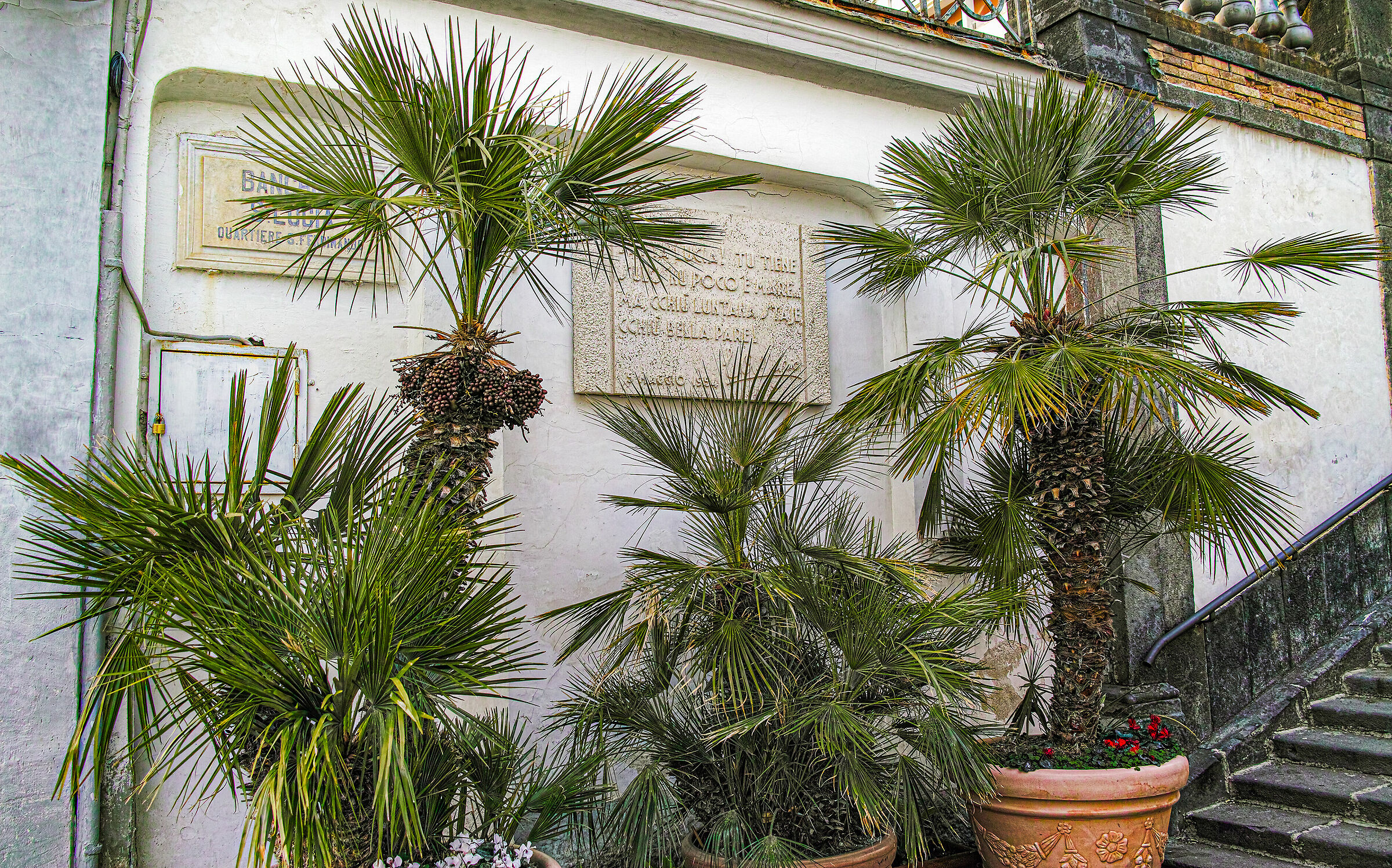 S Lucia Tu holds sulo un poco ' and Mare Ma, Cchiu luntana